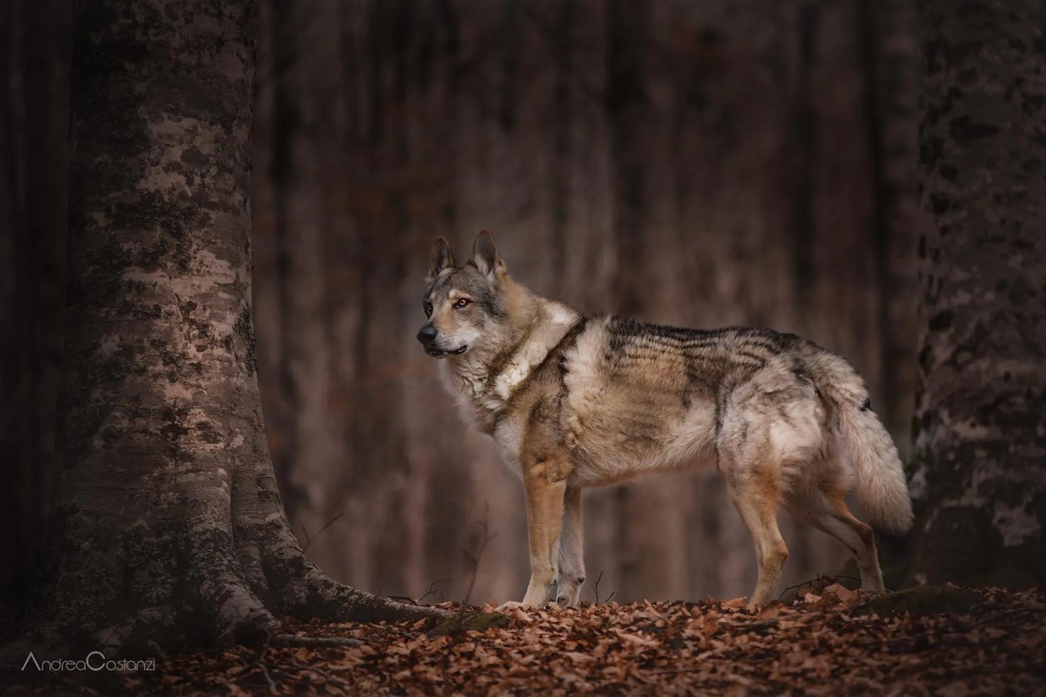 Natural landscape in Hotel Valle del Fiora