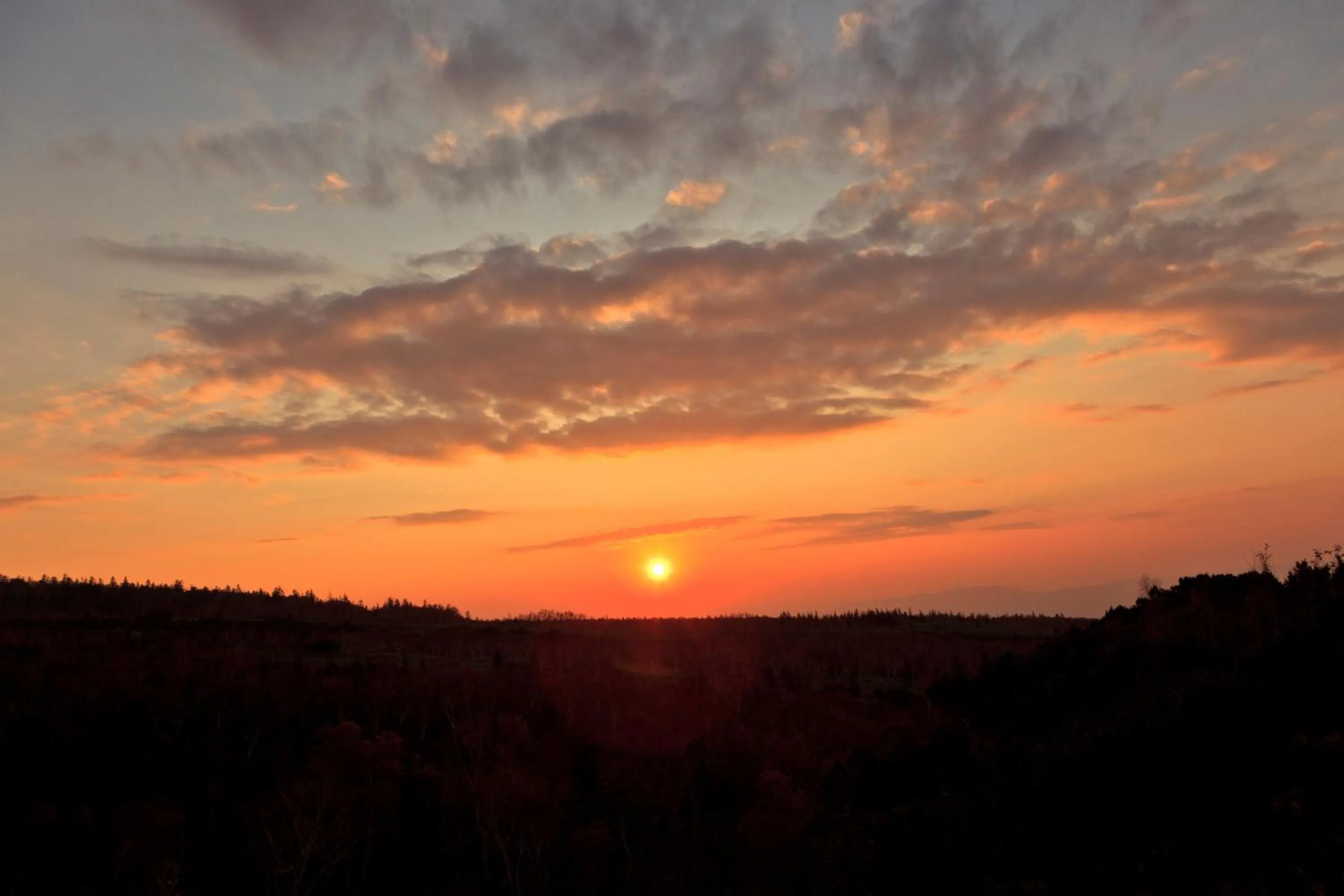 Area and facilities in Kamihoroso