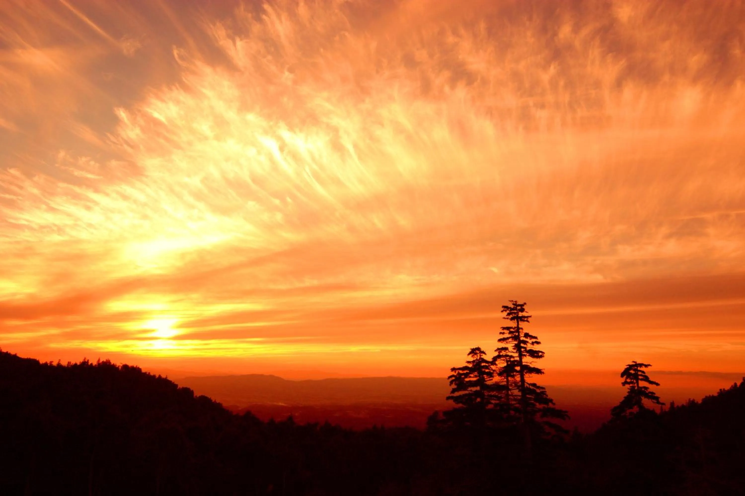 Area and facilities in Kamihoroso