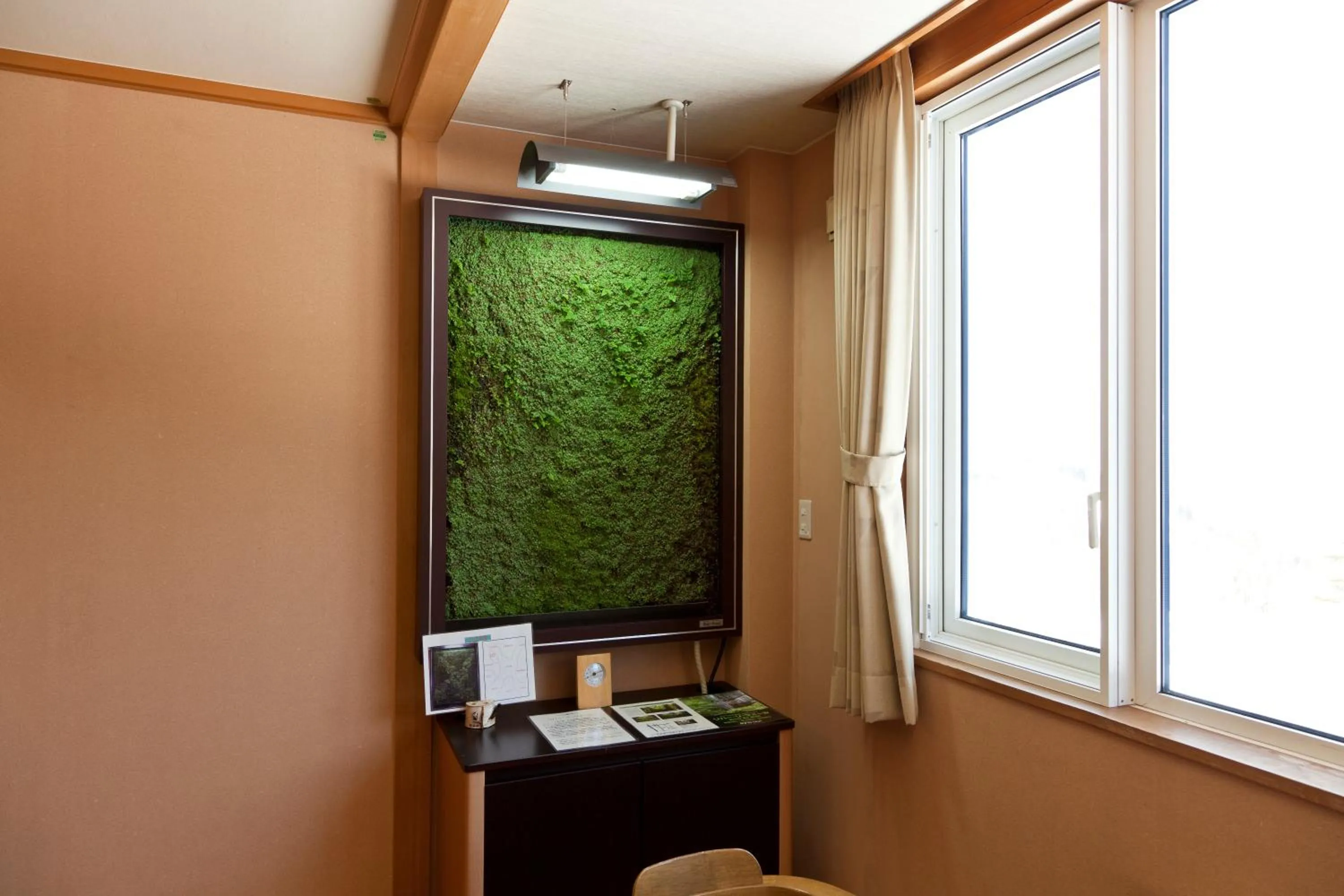 Decorative detail in Kamihoroso