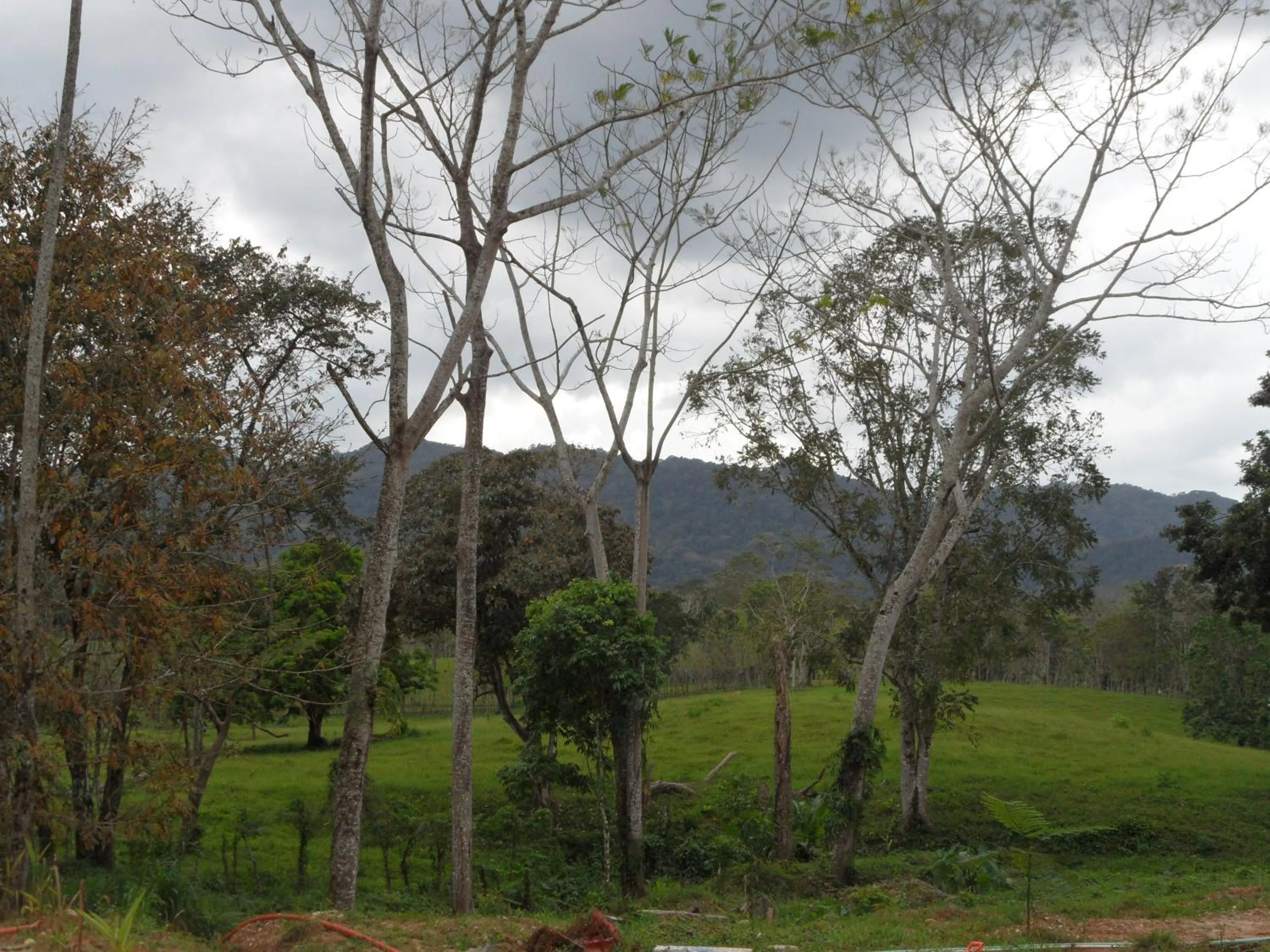 Natural landscape in Auto Hotel Paraíso Inn