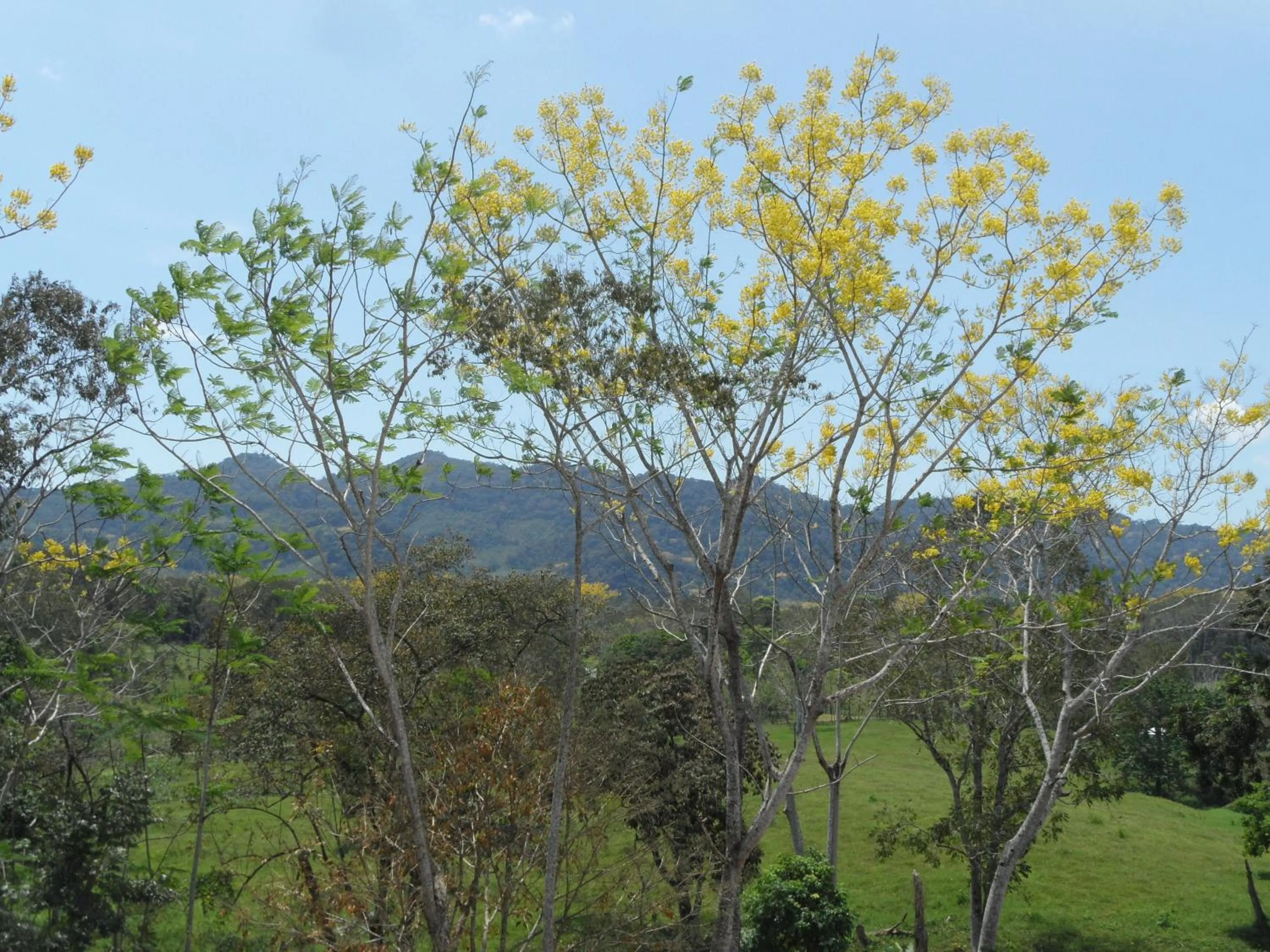 Spring in Auto Hotel Paraíso Inn