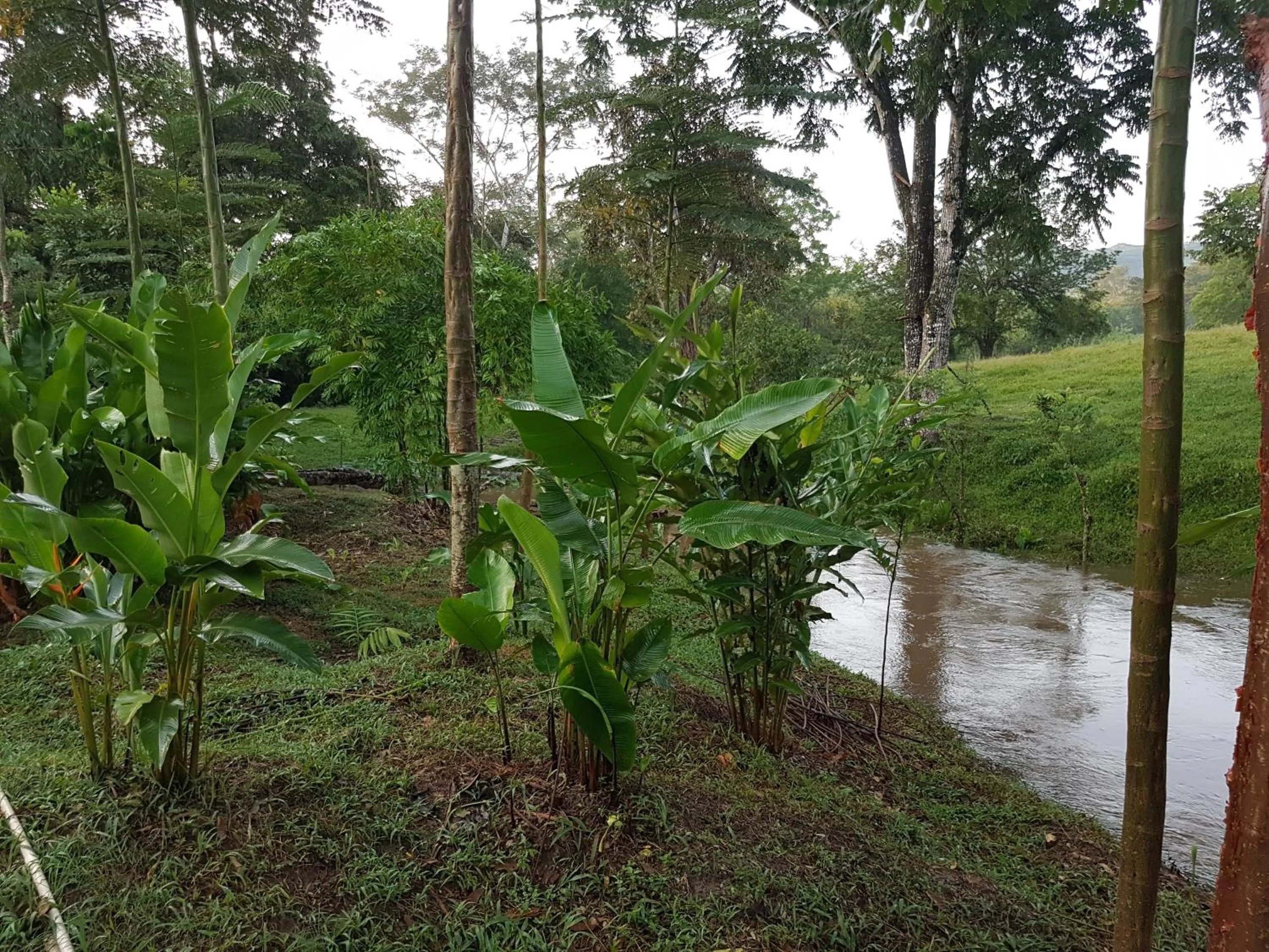 River view in Auto Hotel Paraíso Inn