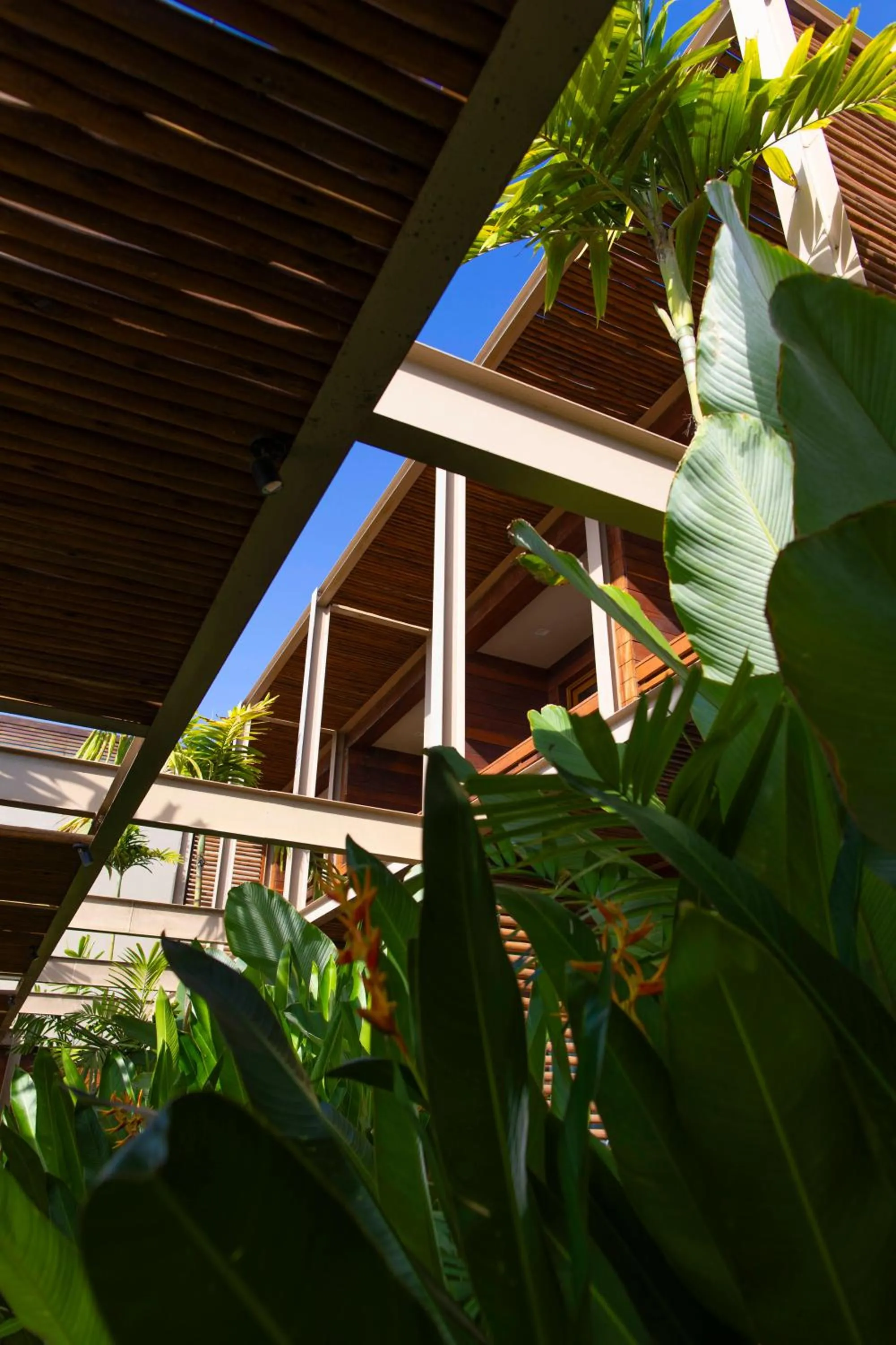 Garden in POUSADA DO MIRANTE