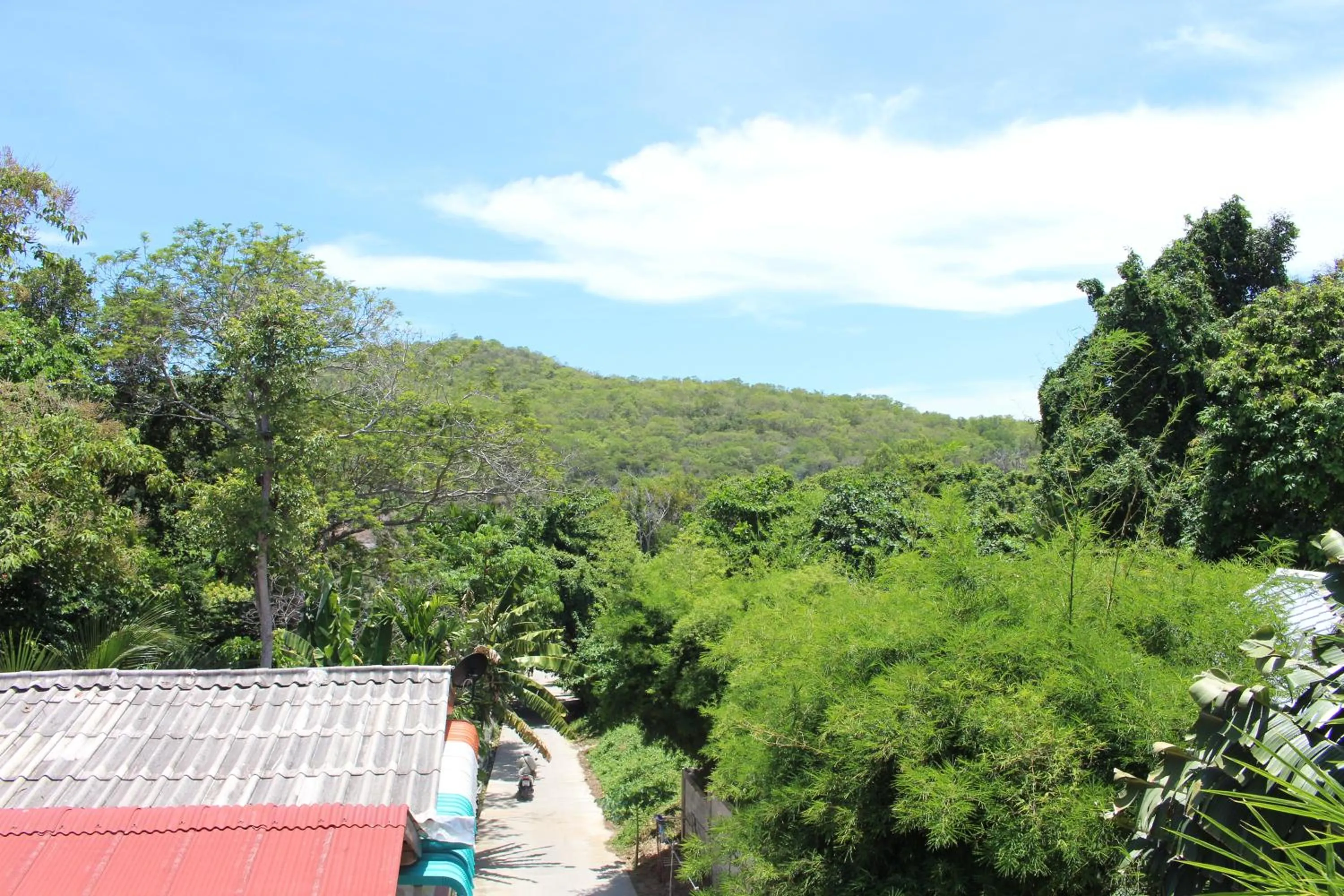 Natural landscape in Miss Tim House