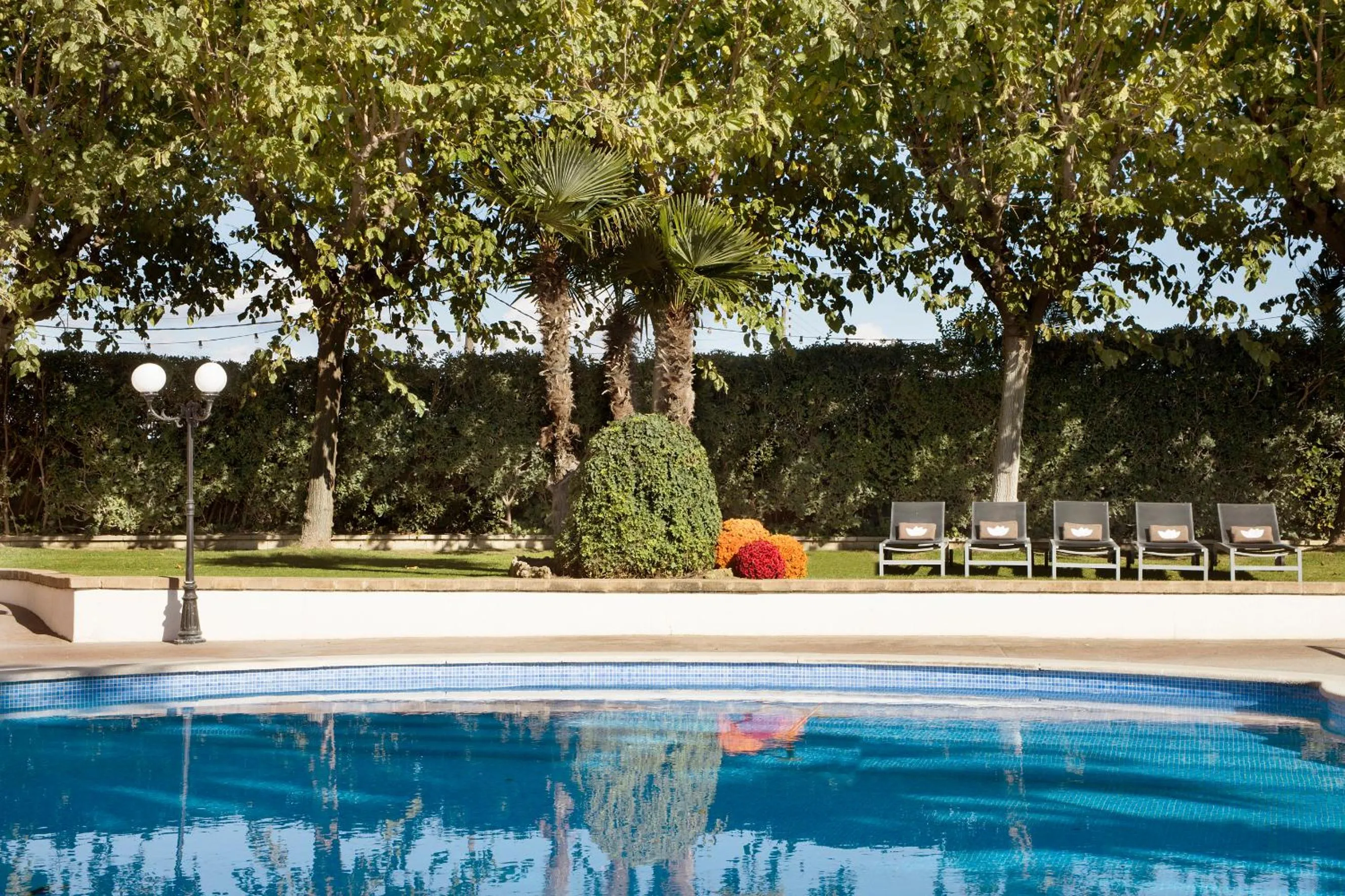 Area and facilities in Luna Park Hotel Yoga & Spa