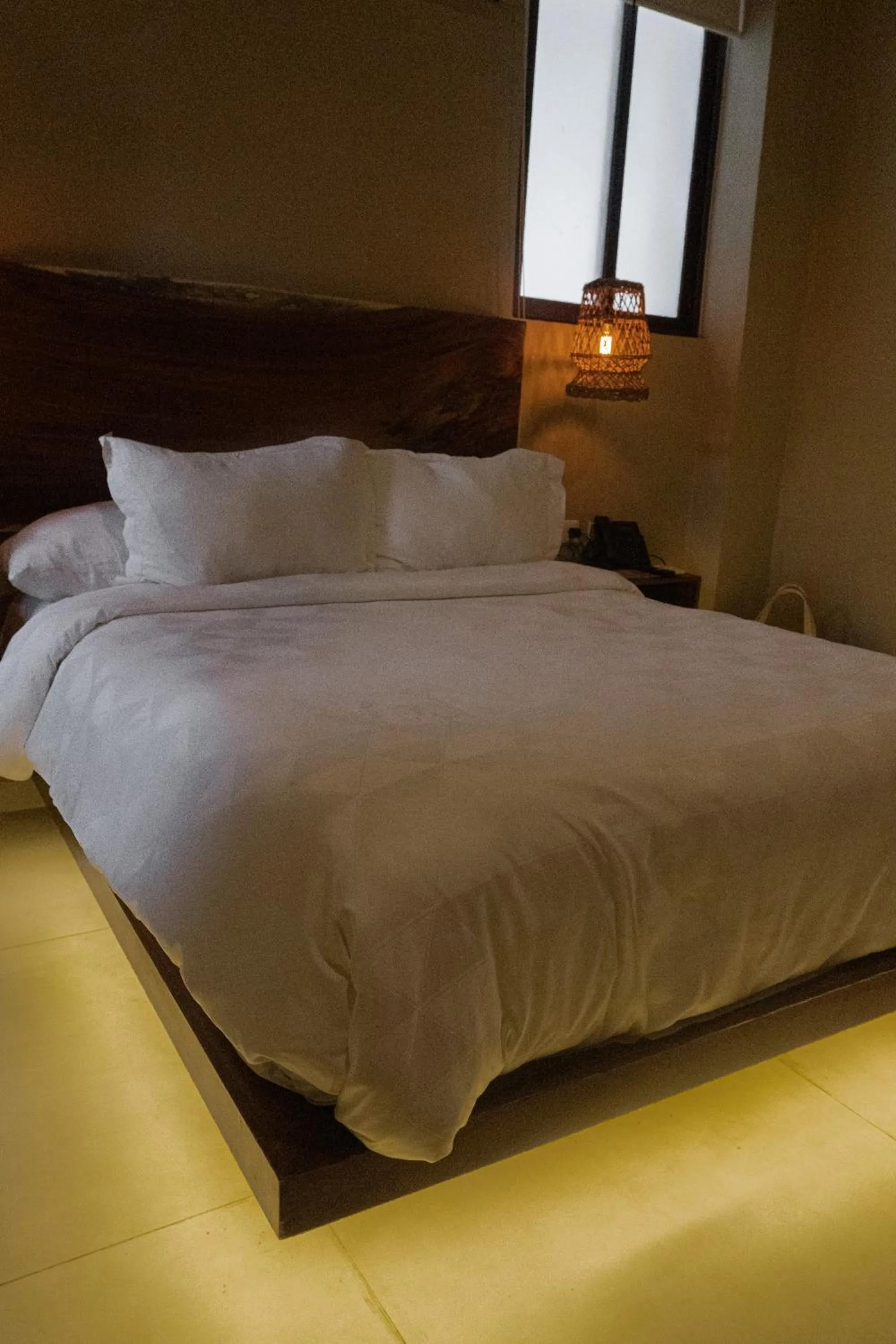 Photo of the whole room in Hotel Scappata