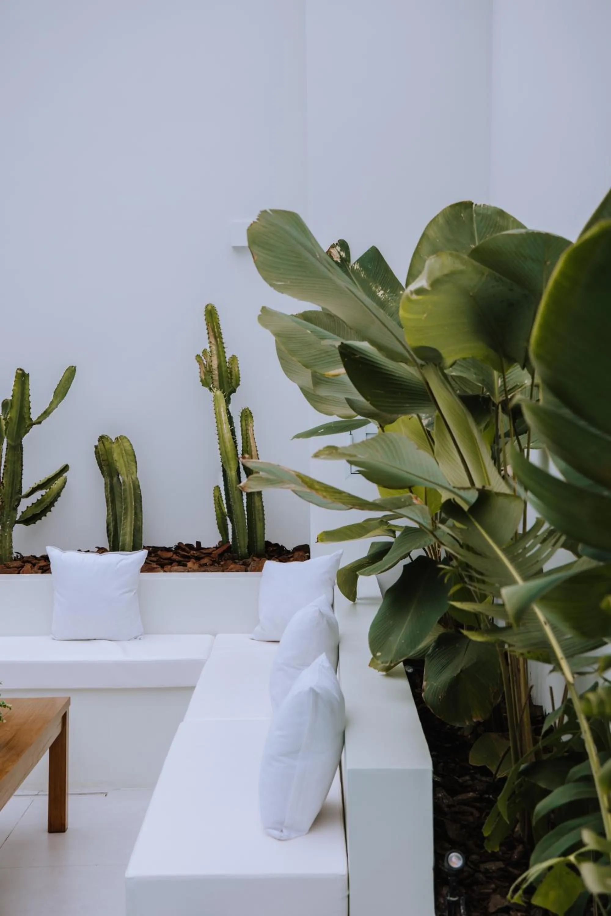 Garden in Olisa Hotel Boutique