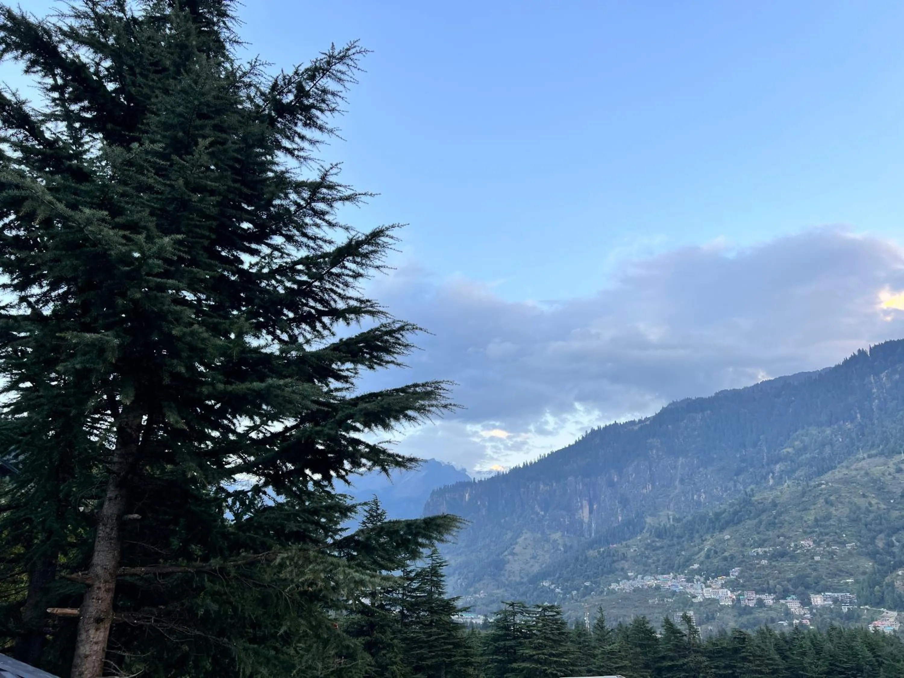 Natural landscape in North Deodar Avenue, Manali