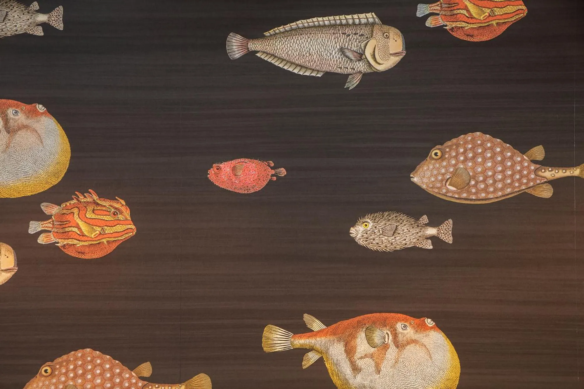 Restaurant/places to eat in The 15th Boutique Hotel