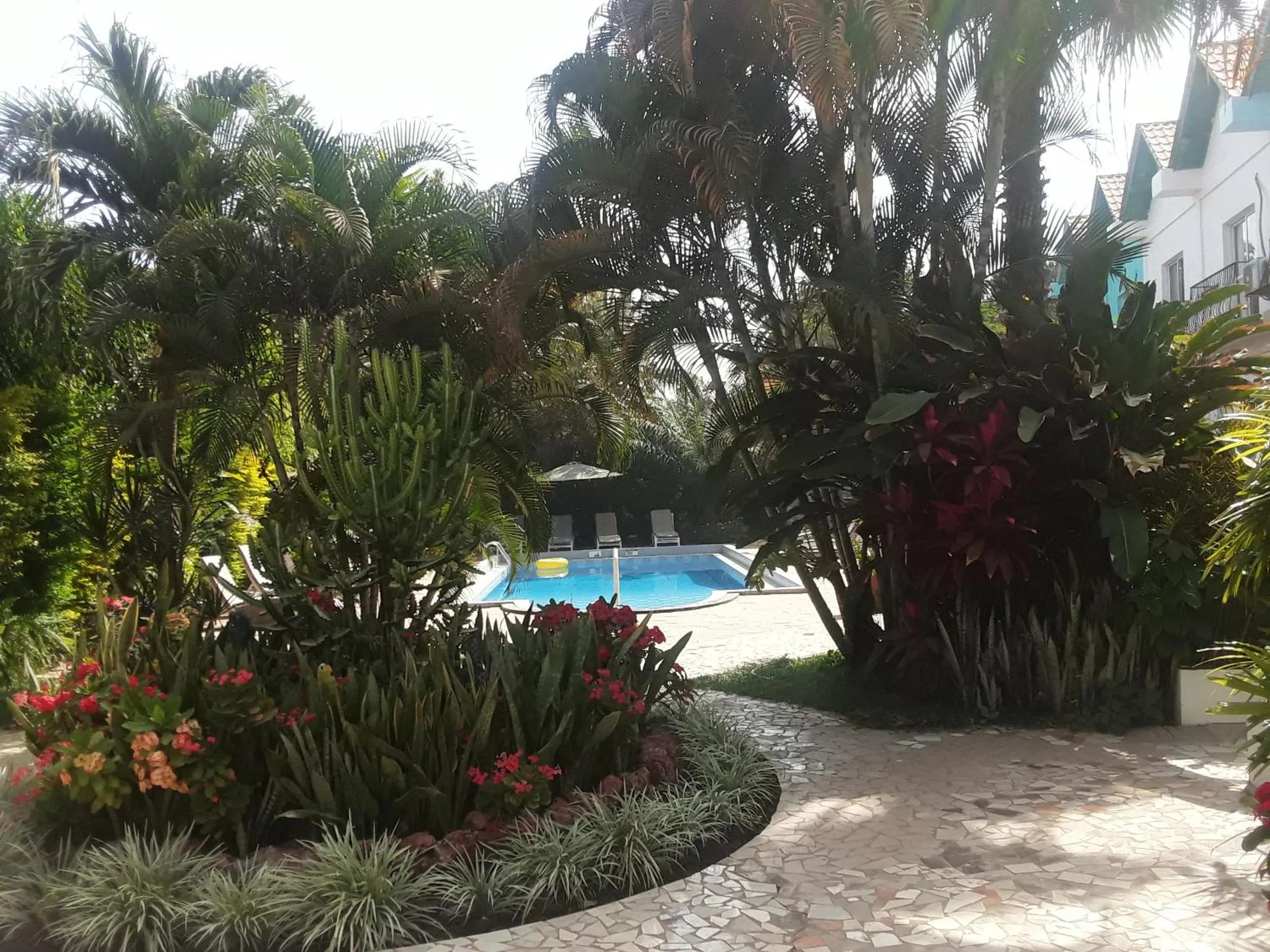 Garden in Riyan Apartment