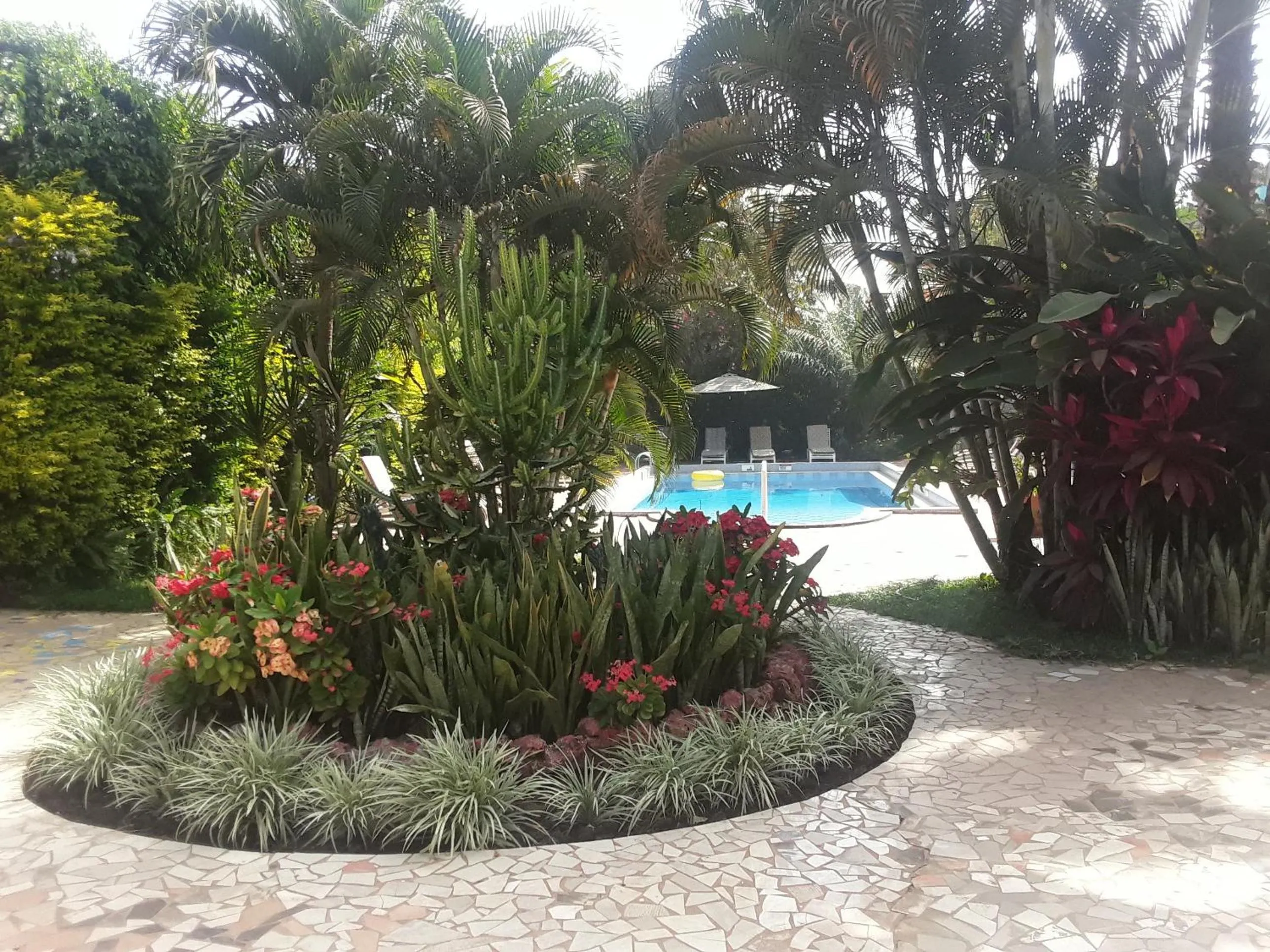 Garden in Riyan Apartment