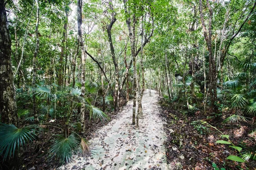 Tribu 306 Boho Design Gem in the Heart of Tulum w/ rooftop