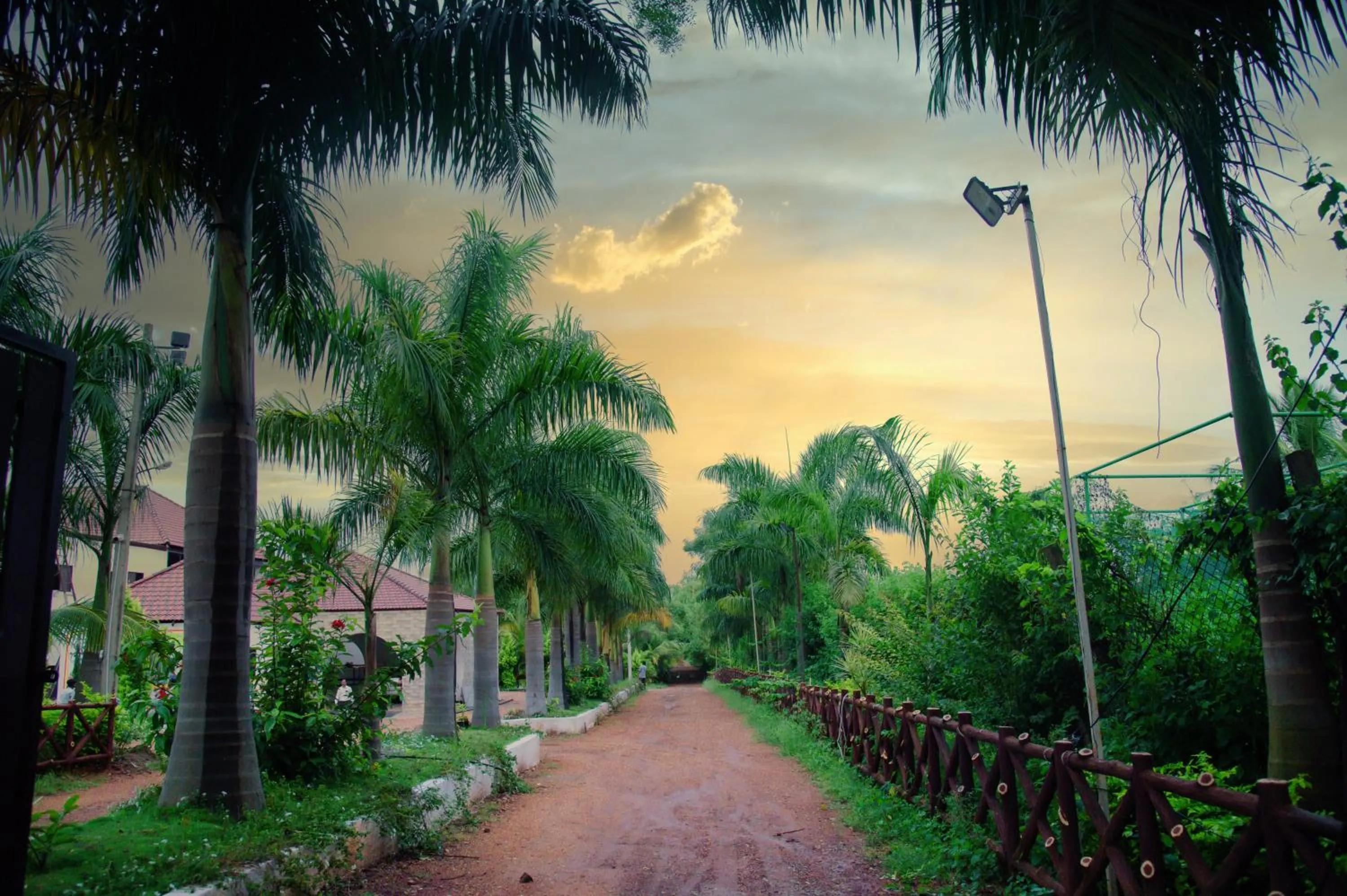 Natural landscape in Sterling Banashree Badami