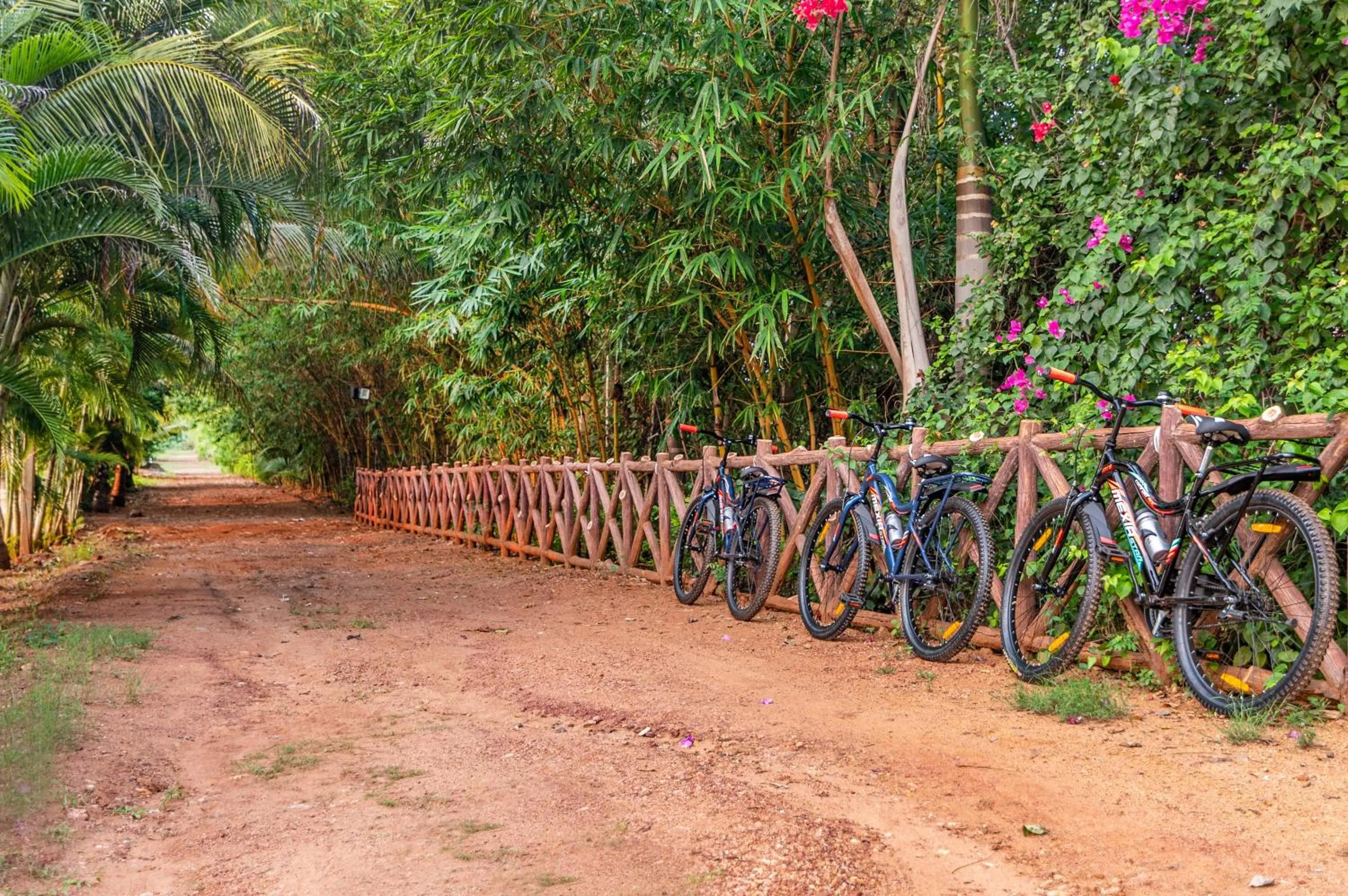 Activities in Sterling Banashree Badami