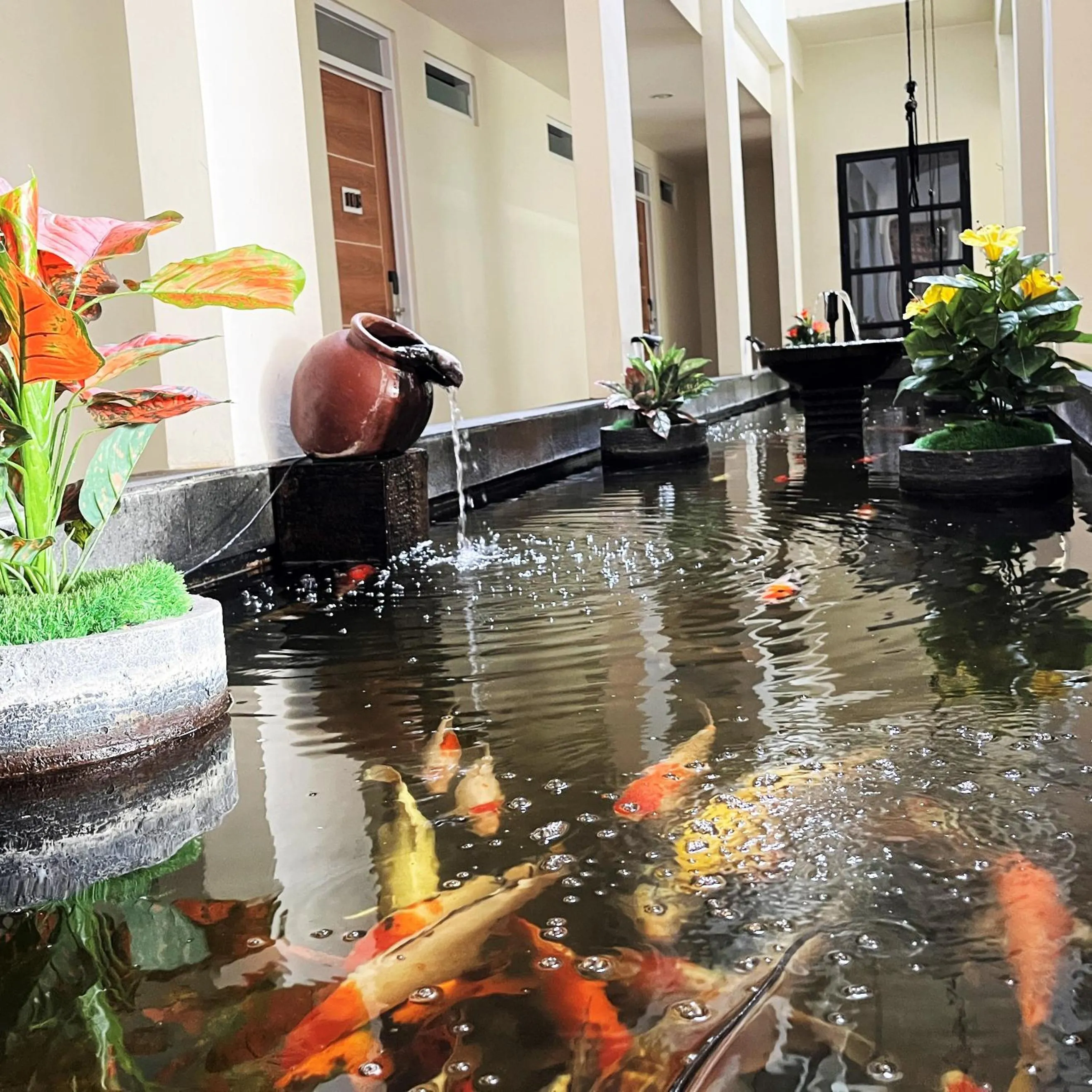 Garden in The Home Srengseng