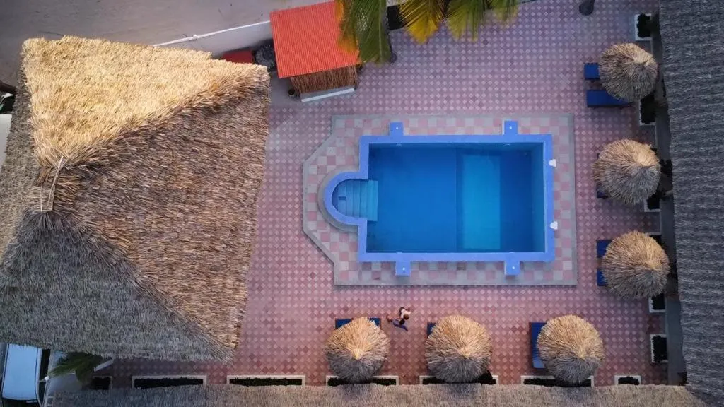 Bird's eye view in Amani Hotel Paje