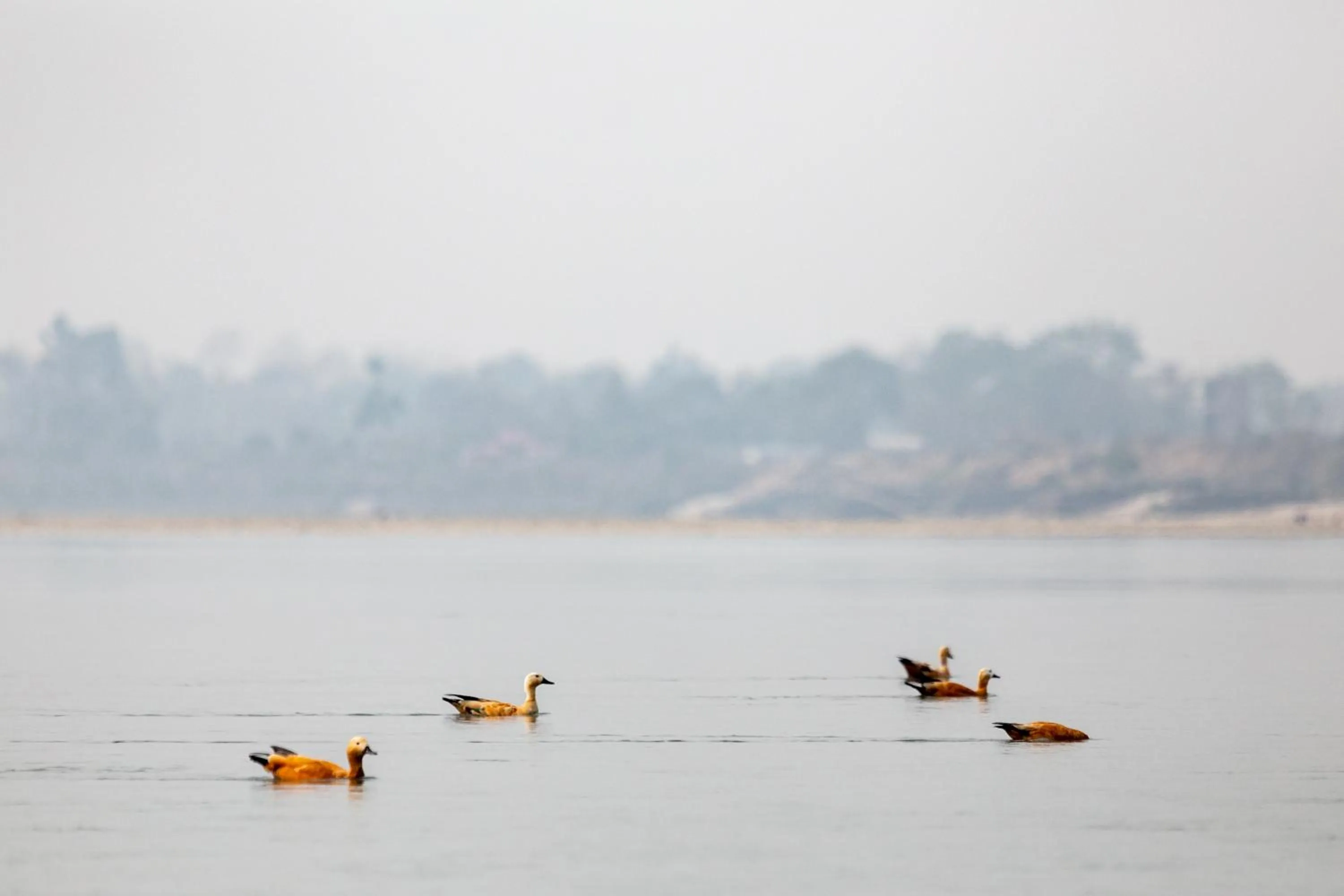 Activities in Sanctuary Chitwan National Park