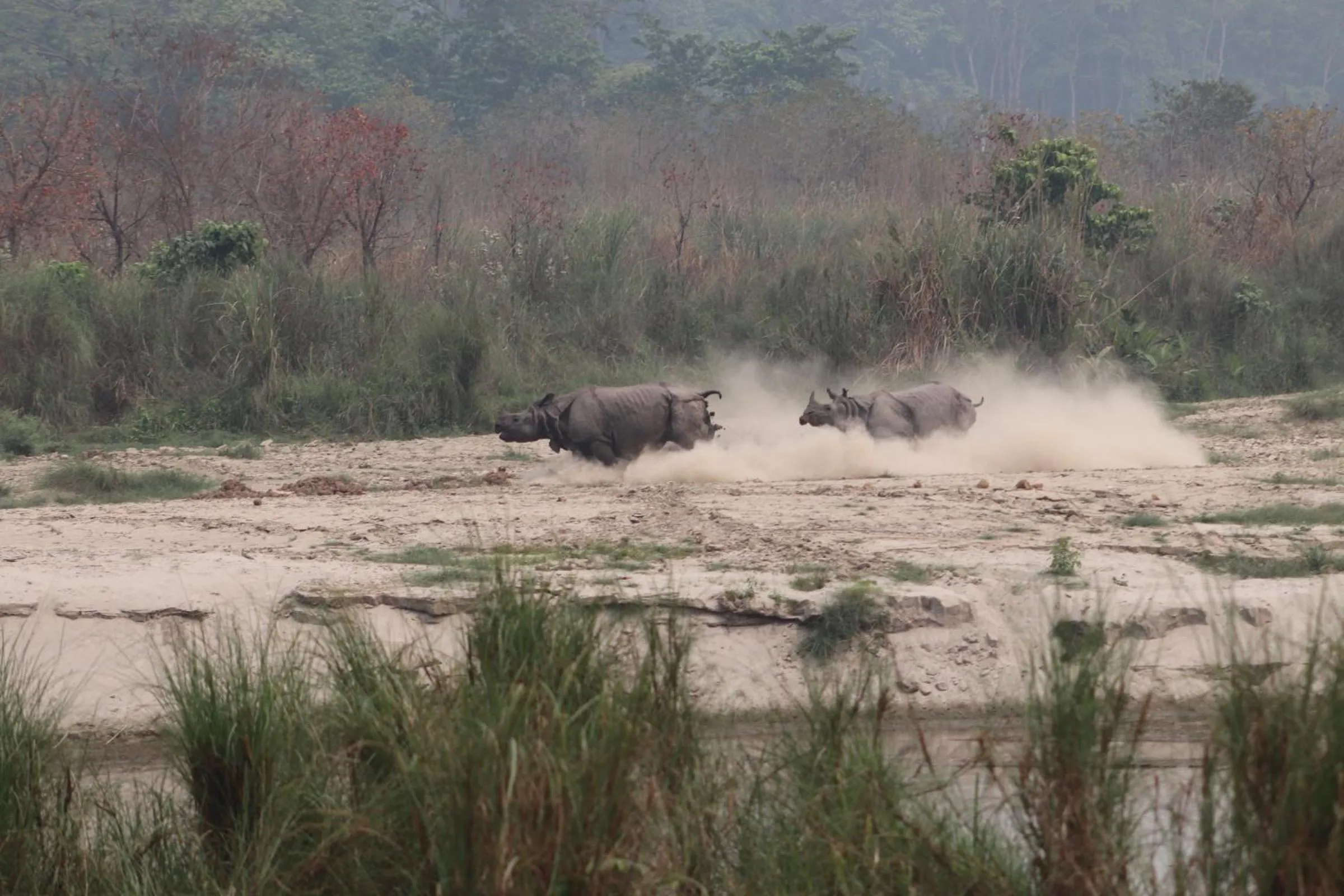 Activities in Sanctuary Chitwan National Park