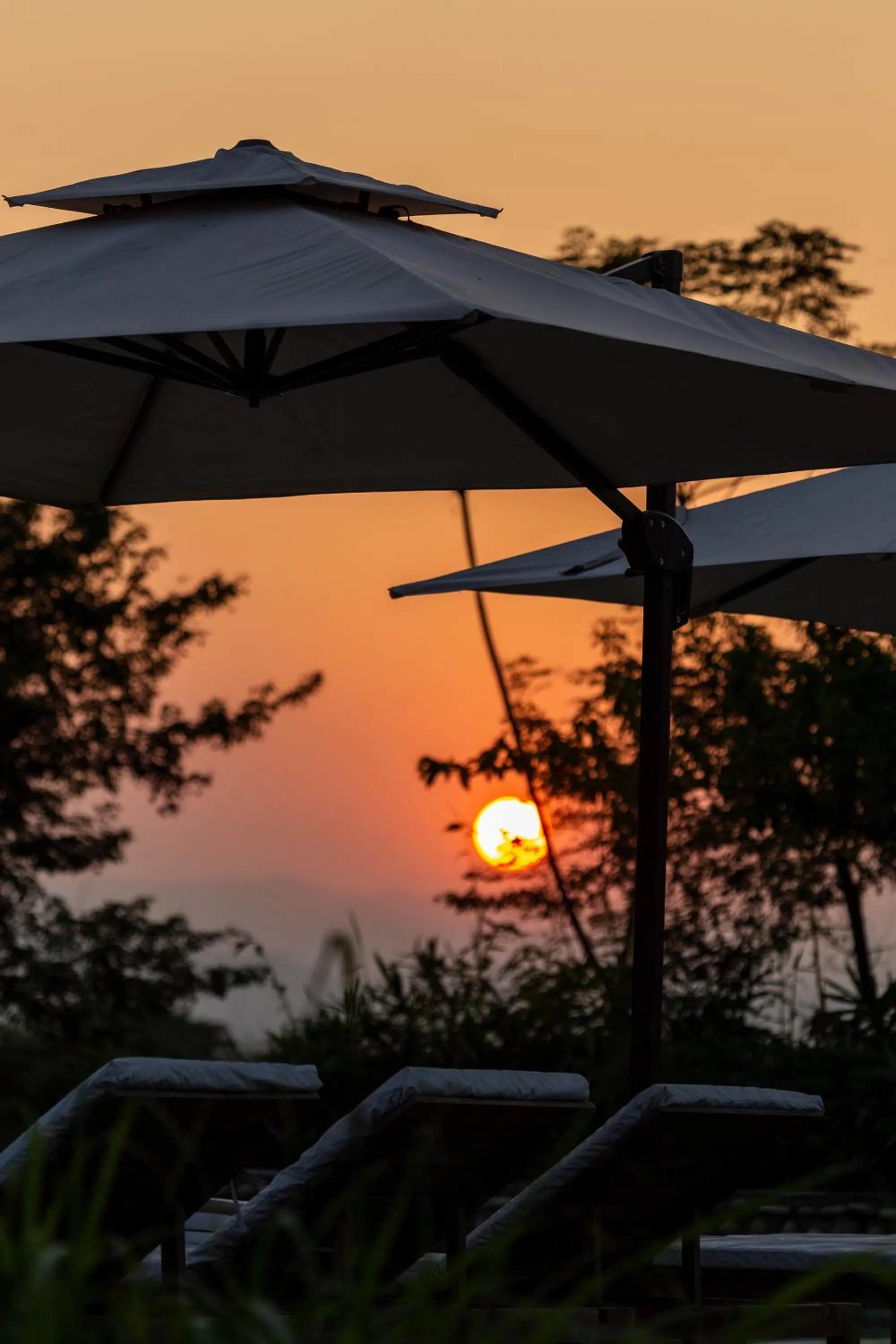 Swimming pool in Sanctuary Chitwan National Park
