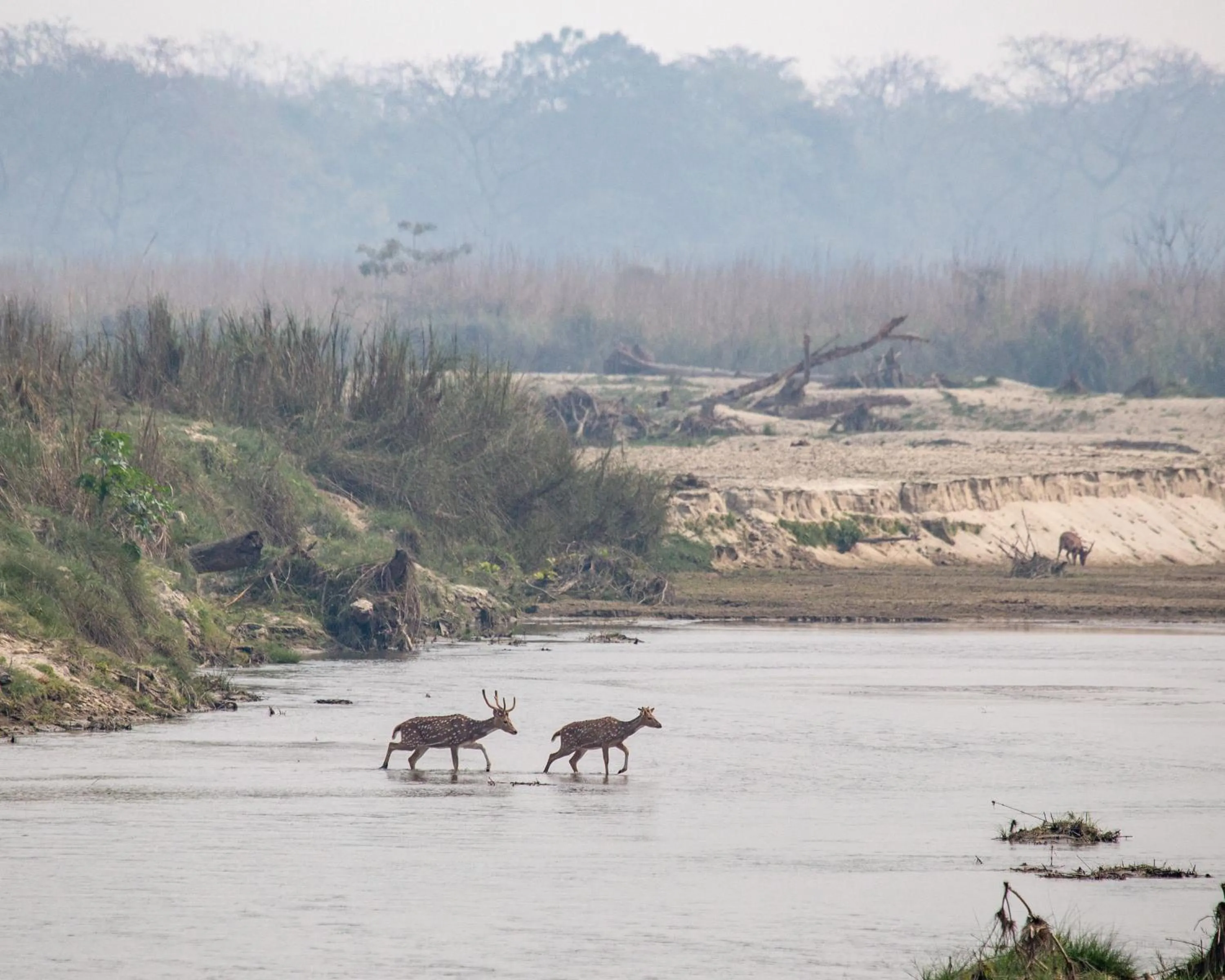 Activities in Sanctuary Chitwan National Park