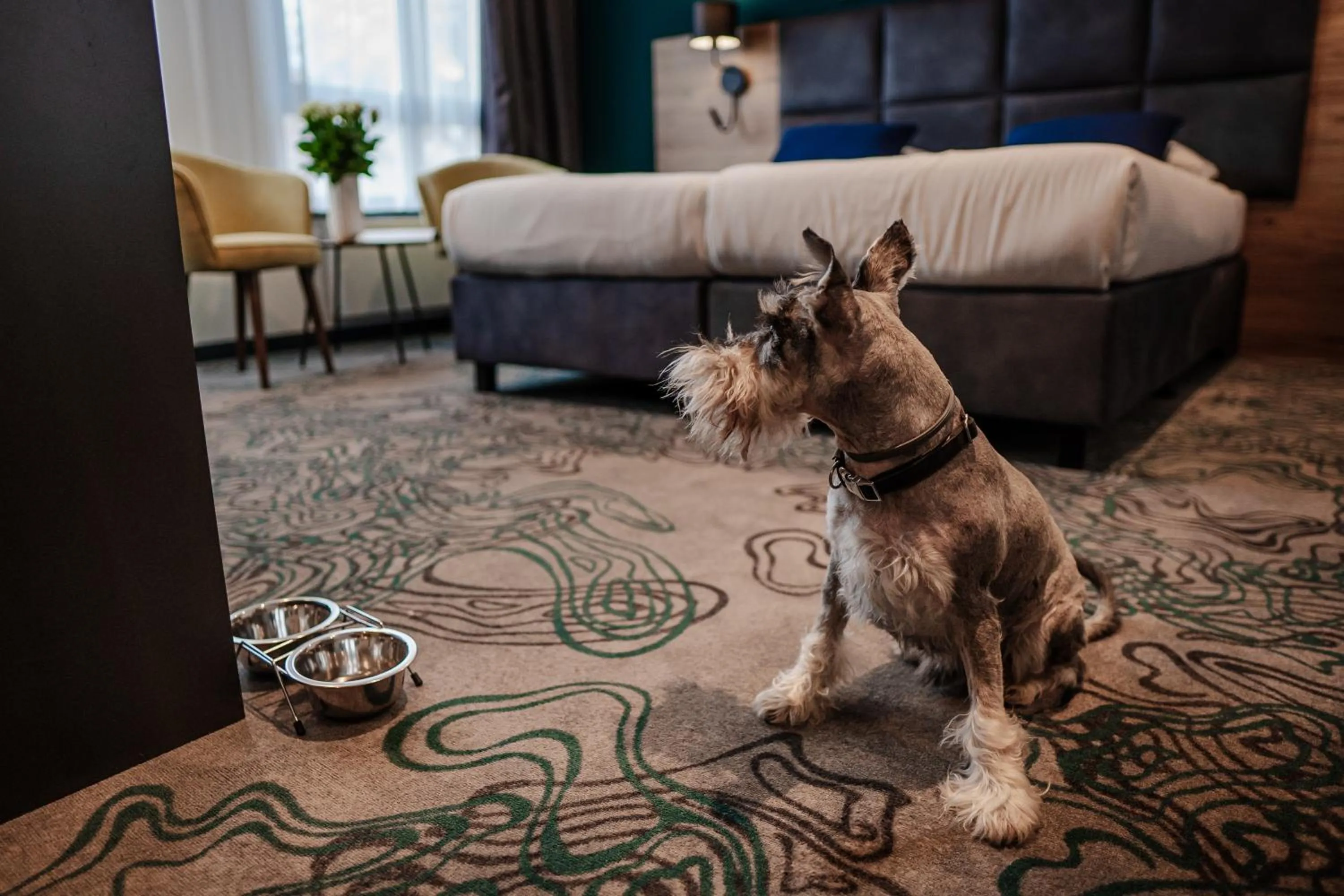 Animals in Hotel Kyriad Stargard