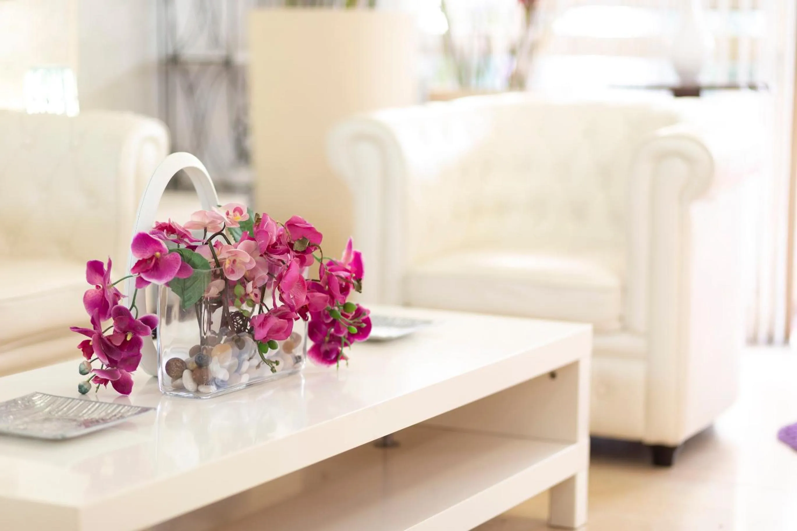 Lobby or reception in Hotel Condor-New 2024-Con Piscina