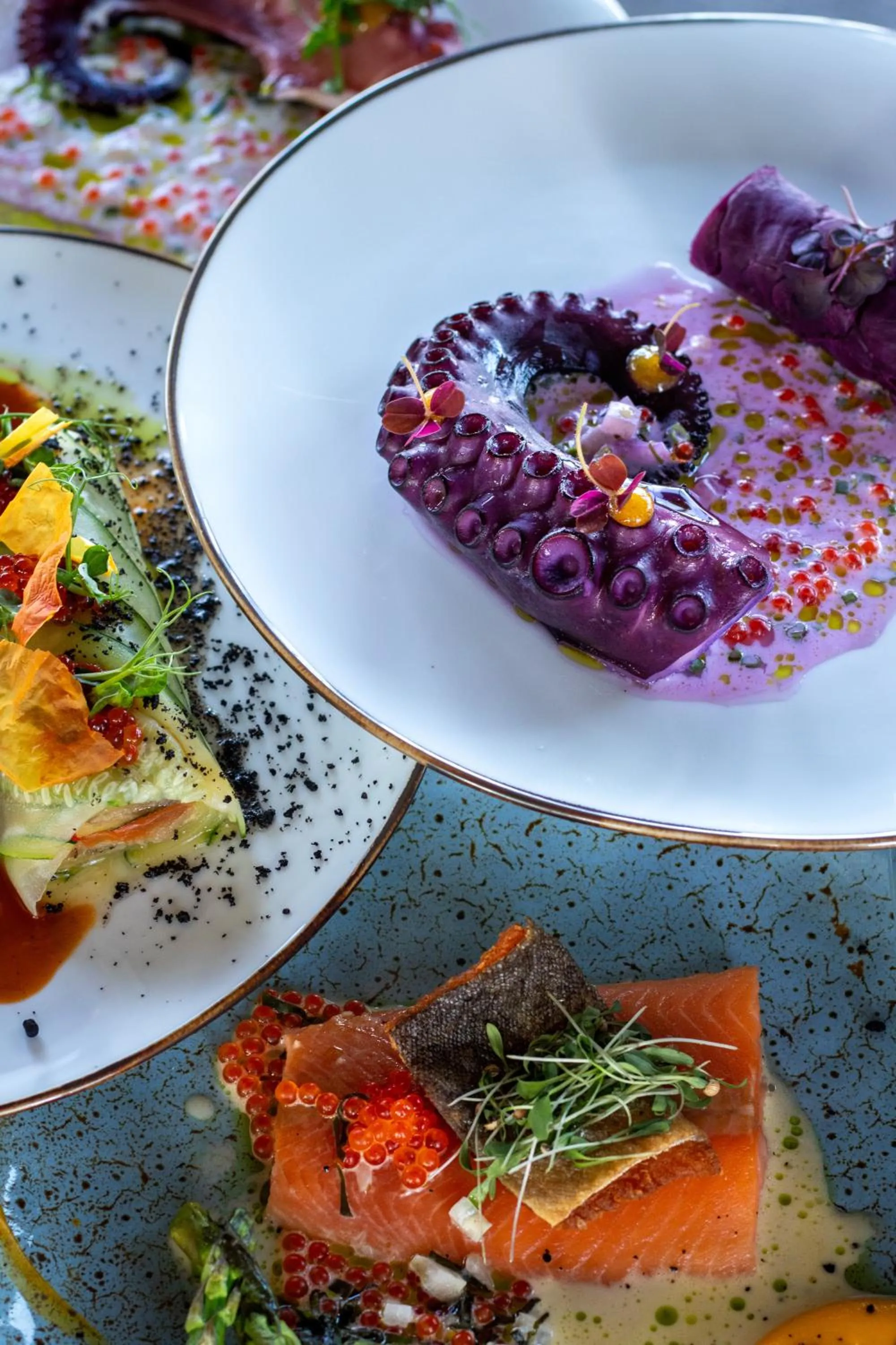 Food and drinks in Enter St. Elisabeth Suites