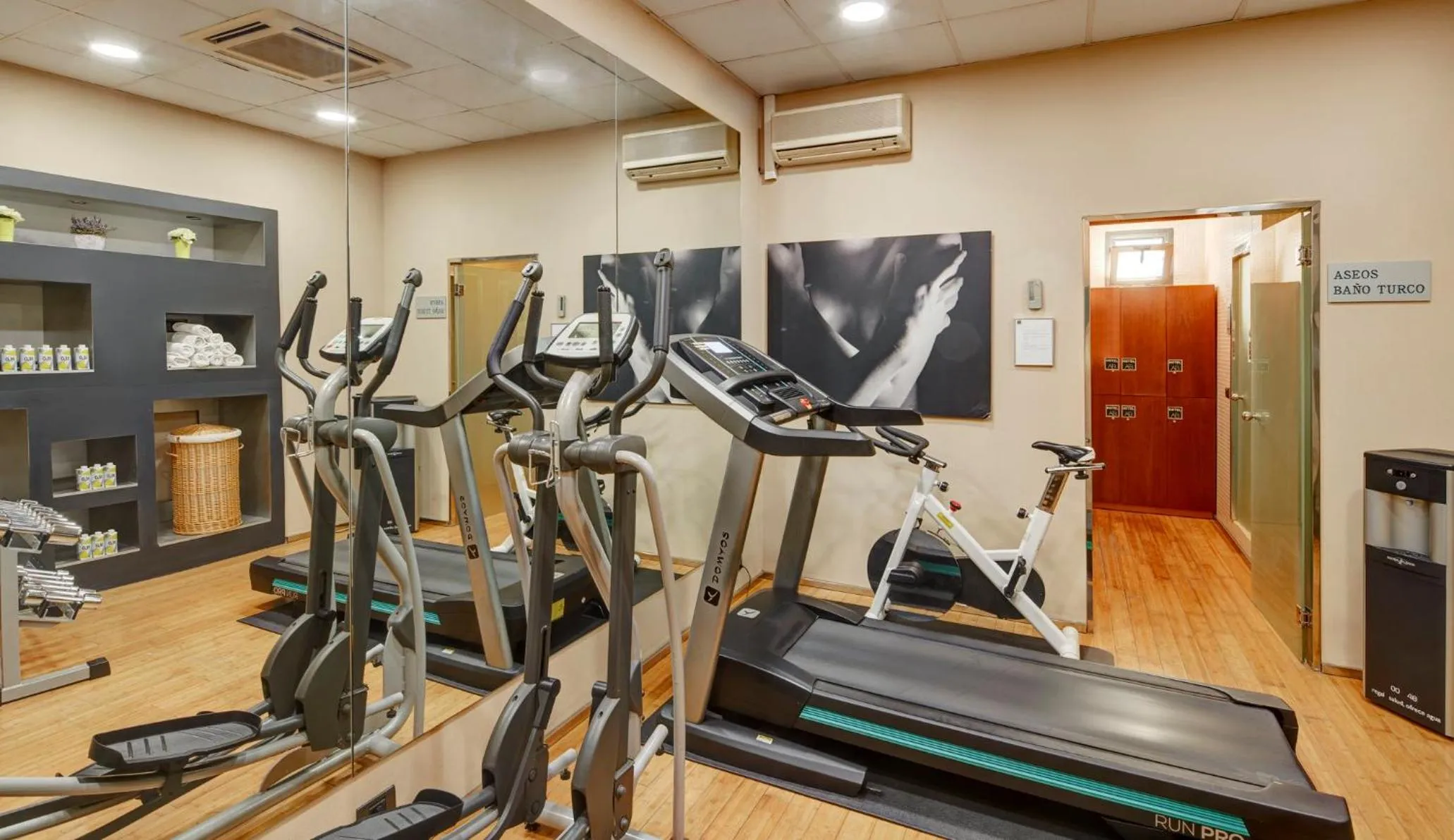 Fitness centre/facilities in Sercotel AB Rivas