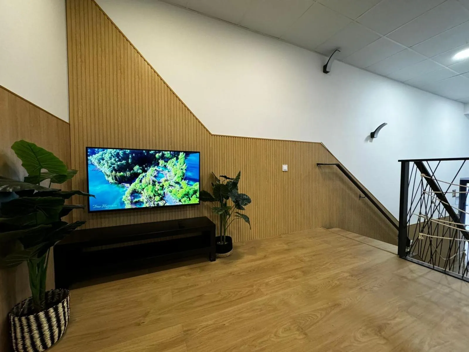 TV and multimedia in Carbonell 1