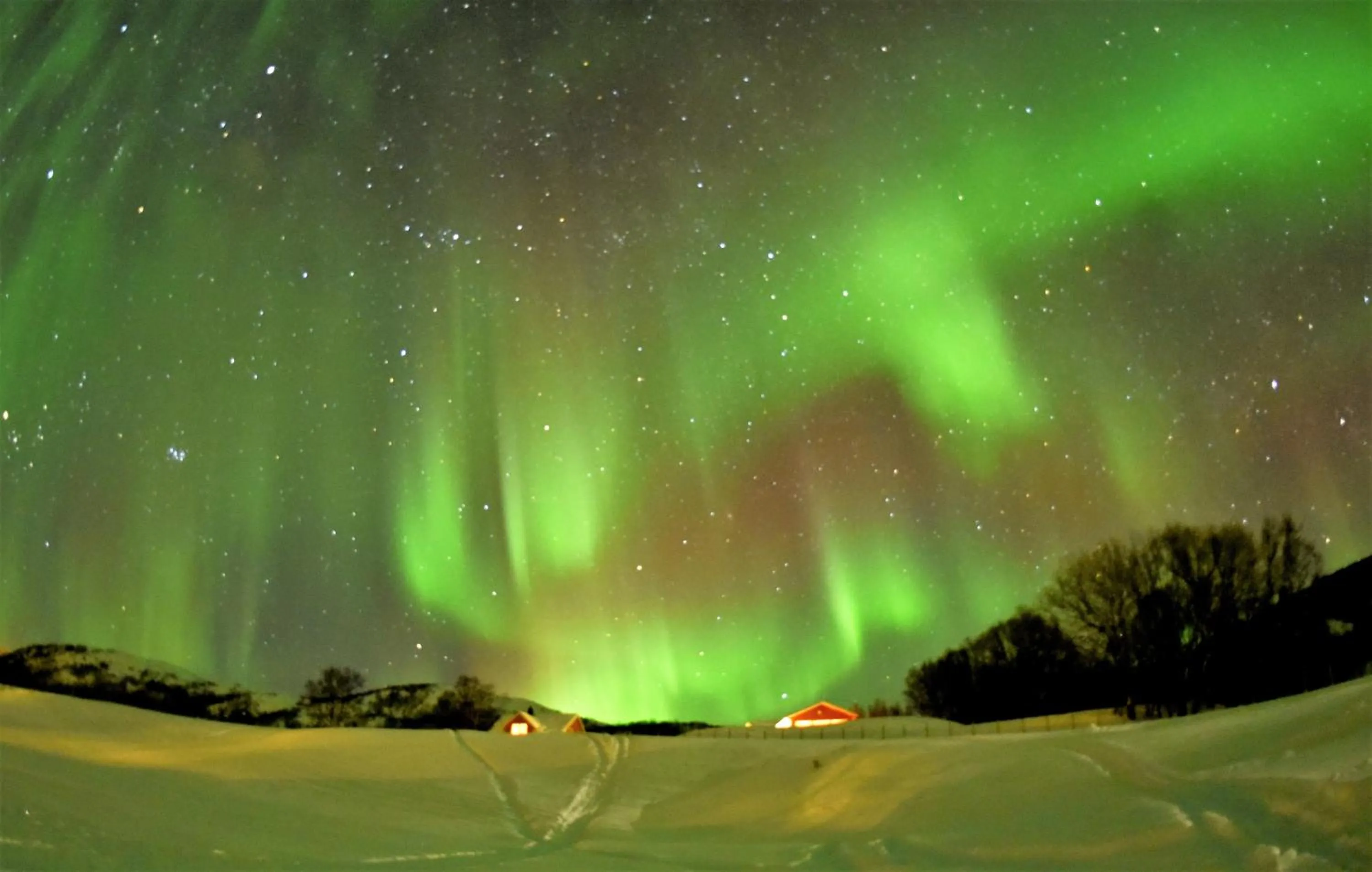 Activities in Yggdrasil Farmhotel Retreat, Spa & Yoga