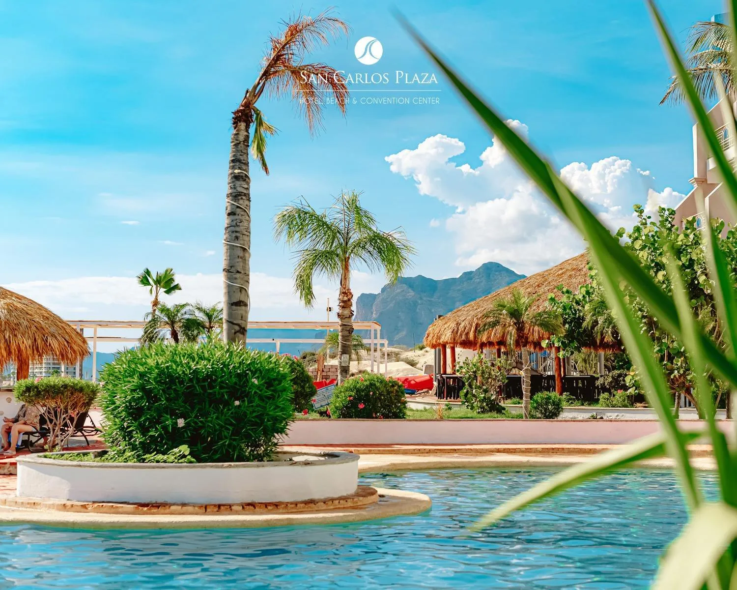 Pool view in HOTEL SAN CARLOS PLAZA