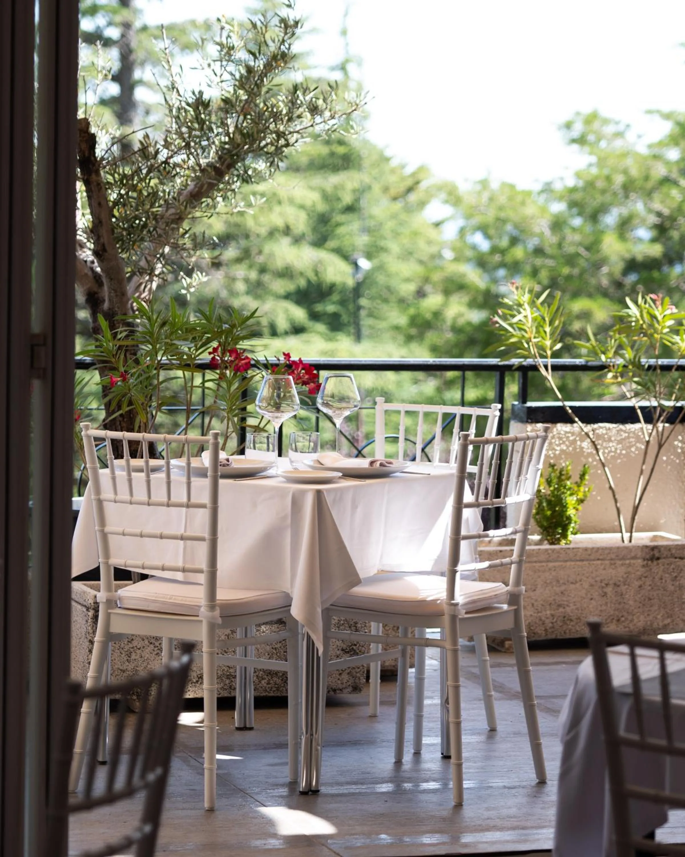 Restaurant/places to eat in Hotel Hita "Nature Experience" for all