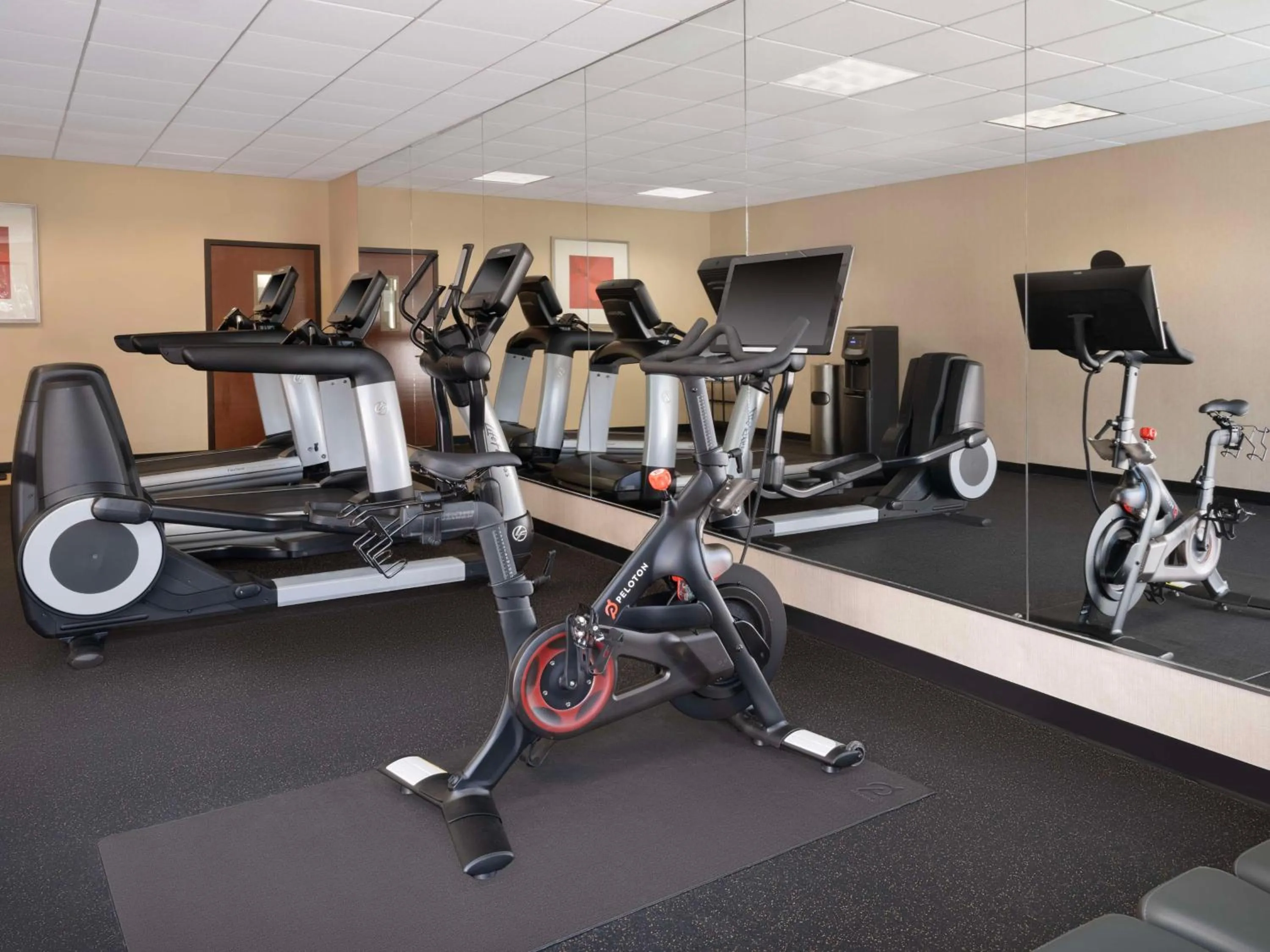 Fitness centre/facilities in Hyatt Place Tampa Busch Gardens