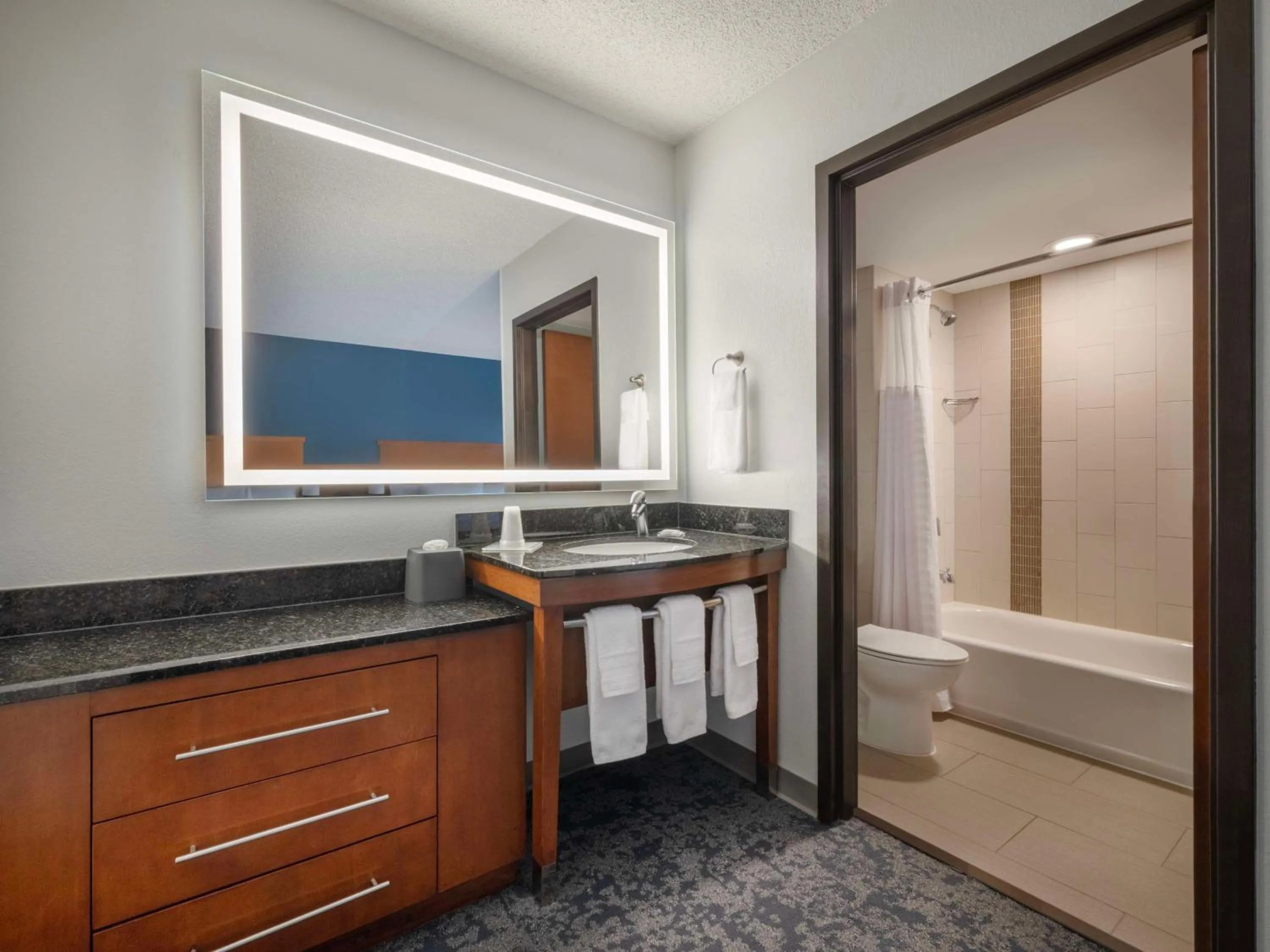 Bathroom in Hyatt Place Tampa Busch Gardens