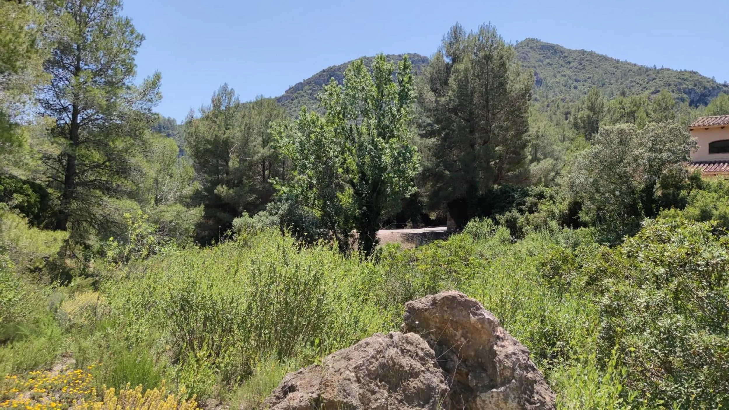 Entertainment in La Figuerola Hotel & Restaurant