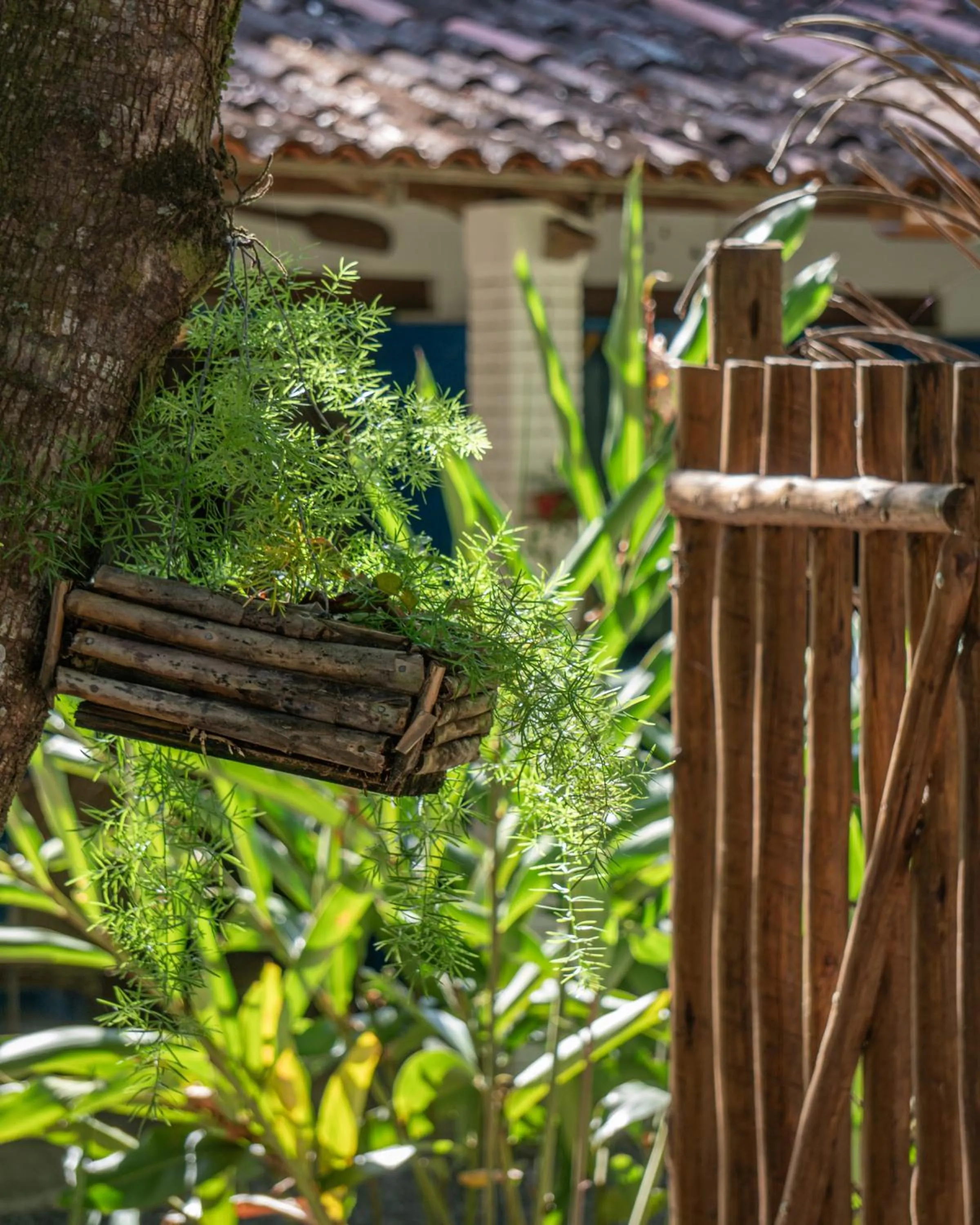 Garden in Vila Coco Dendê - Algodões