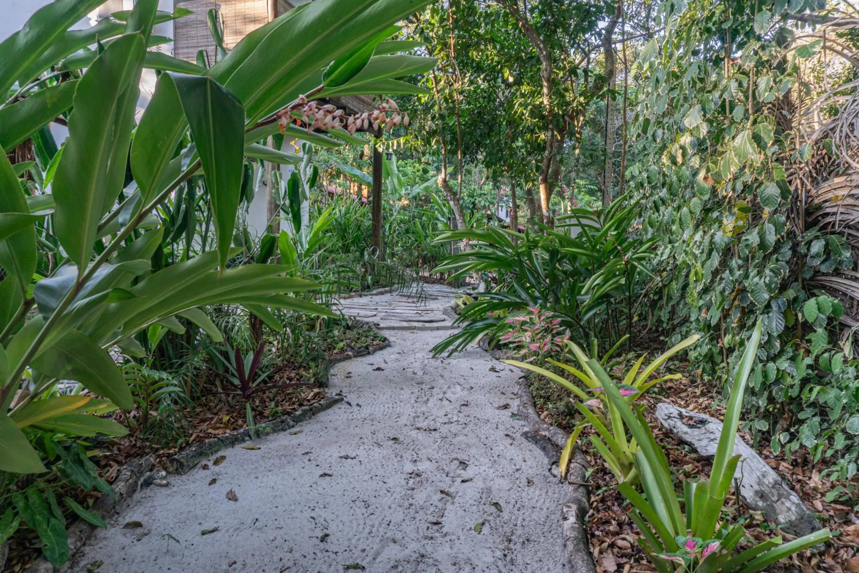 Natural landscape in Vila Coco Dendê - Algodões