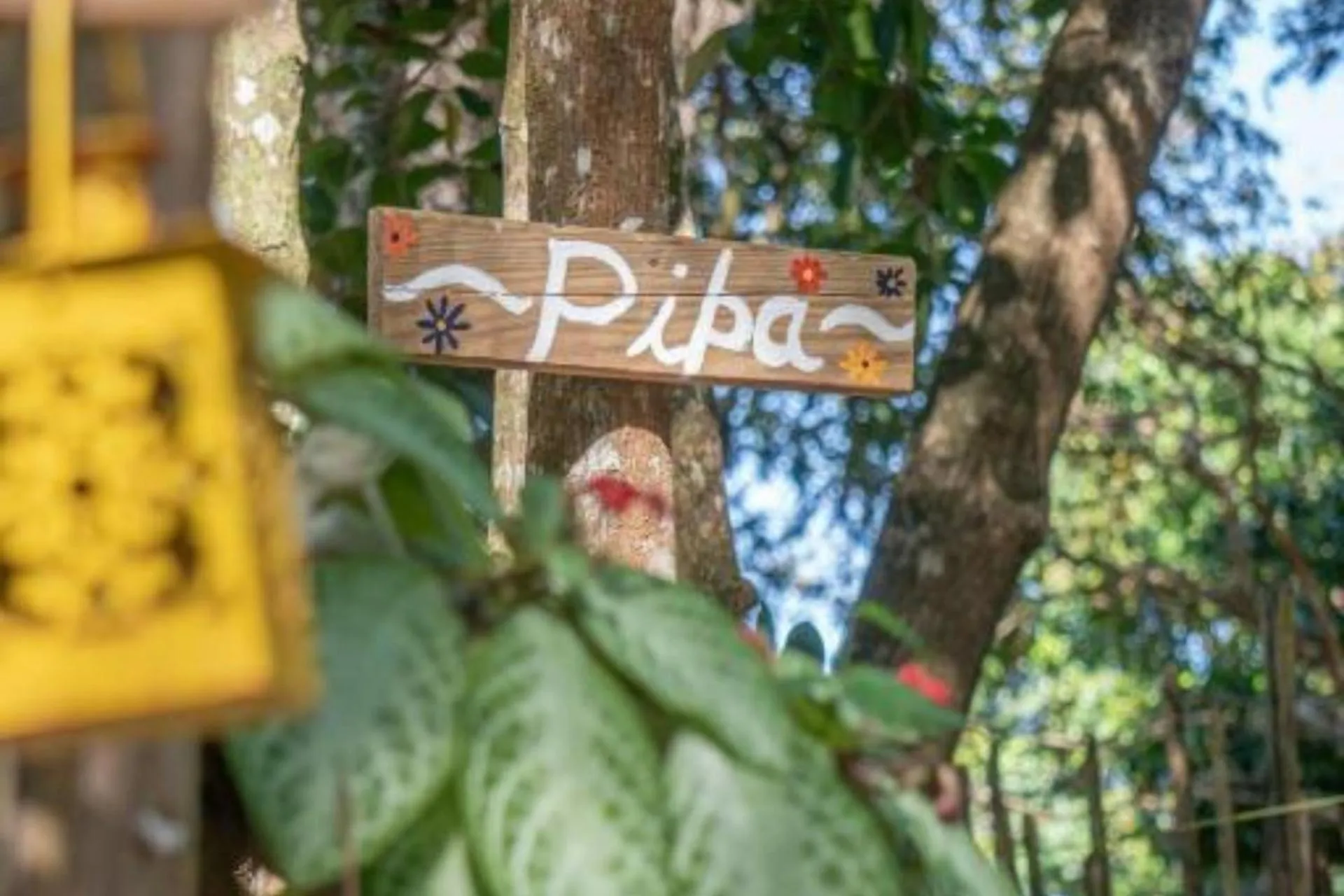 Logo/Certificate/Sign in Vila Coco Dendê - Algodões
