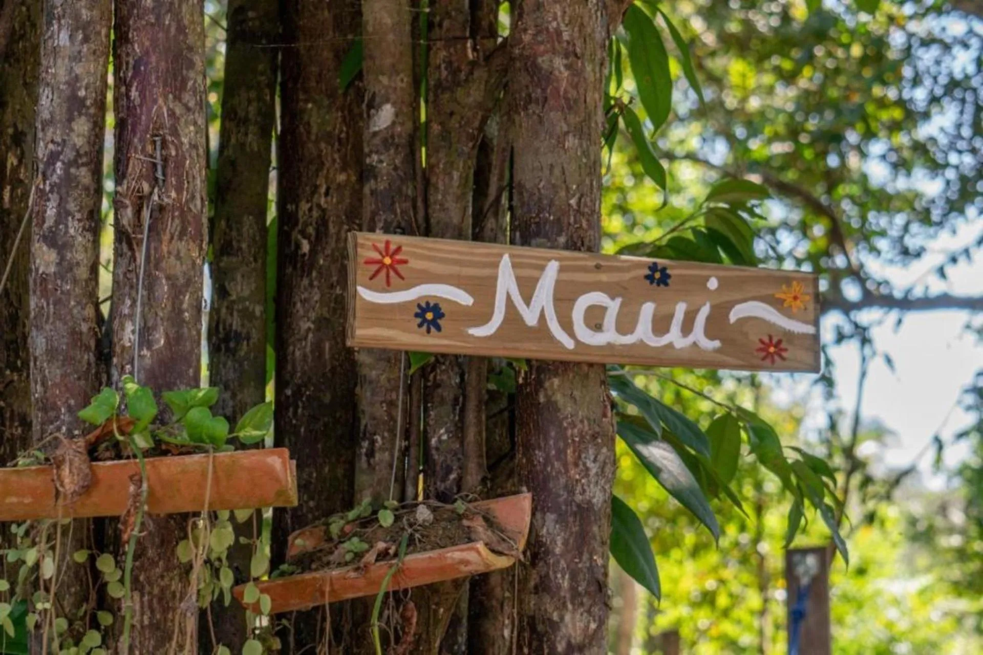 Property logo or sign in Vila Coco Dendê - Algodões