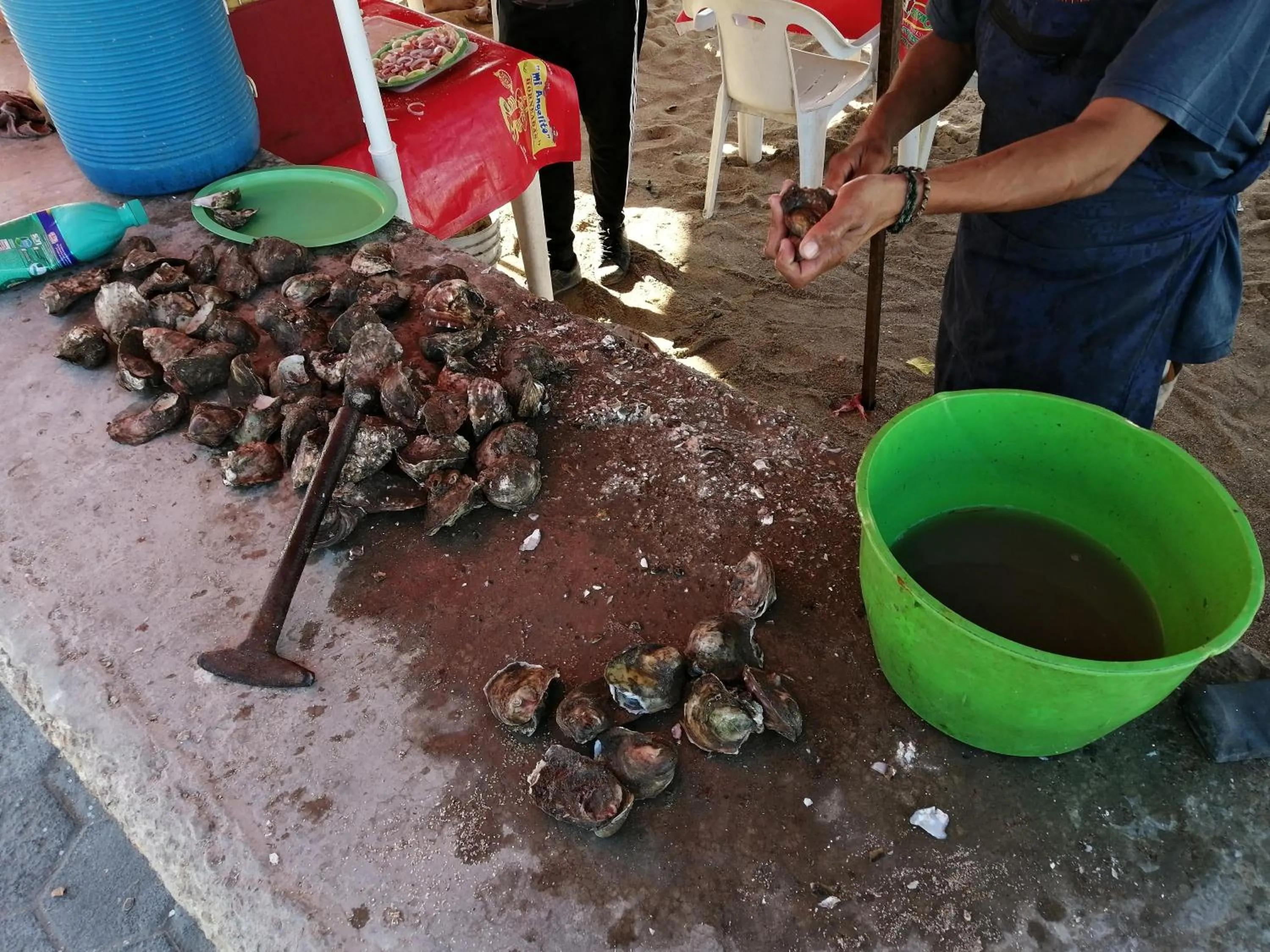 Neighbourhood in Casa Dahlia 2