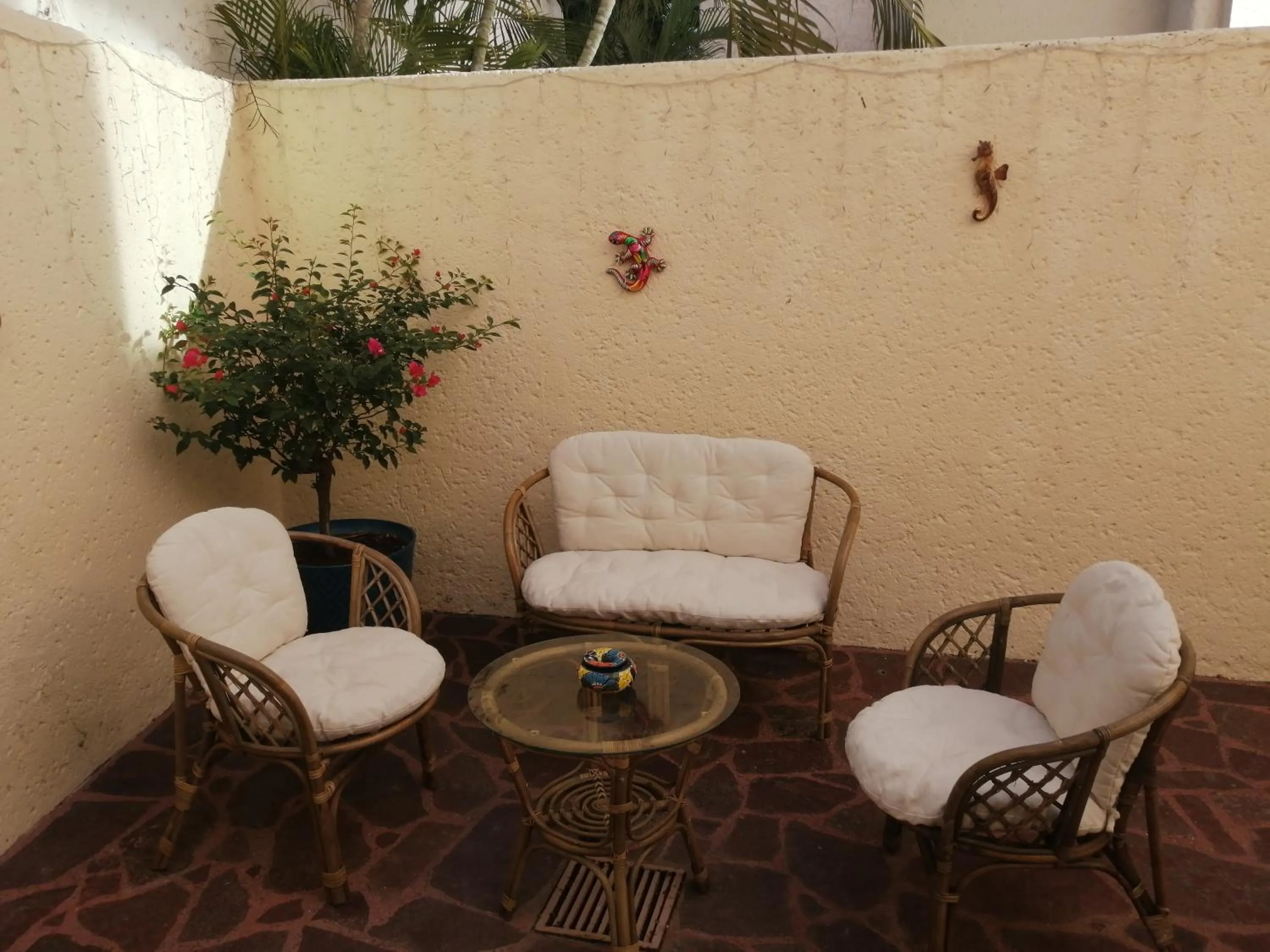 Patio in Casa Dahlia 2