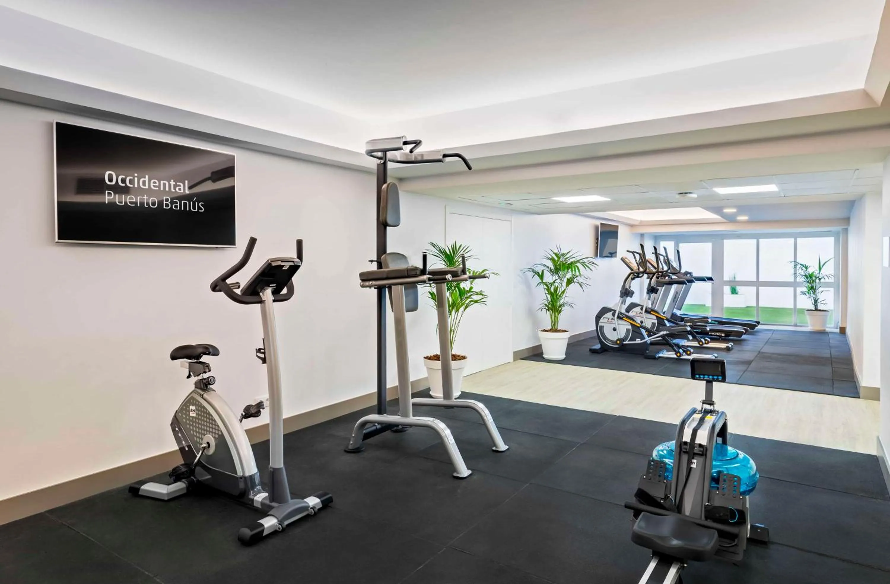 Fitness centre/facilities in Occidental Puerto Banús