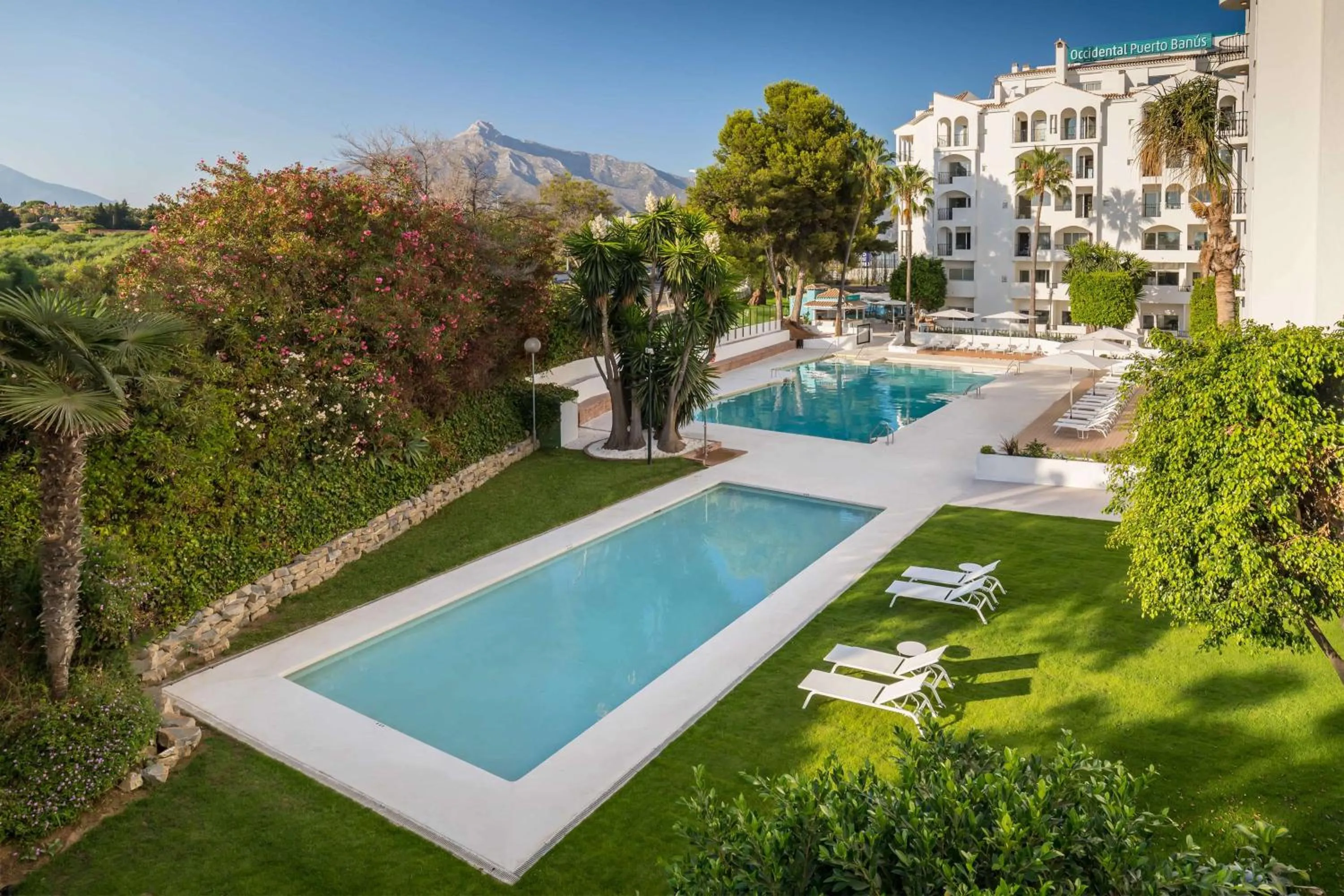 Pool view in Occidental Puerto Banús