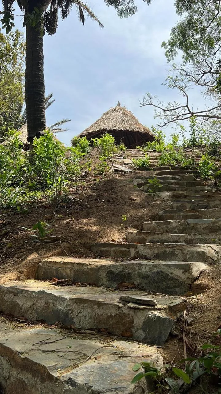 Bird's eye view in Tawaca Ecohotel