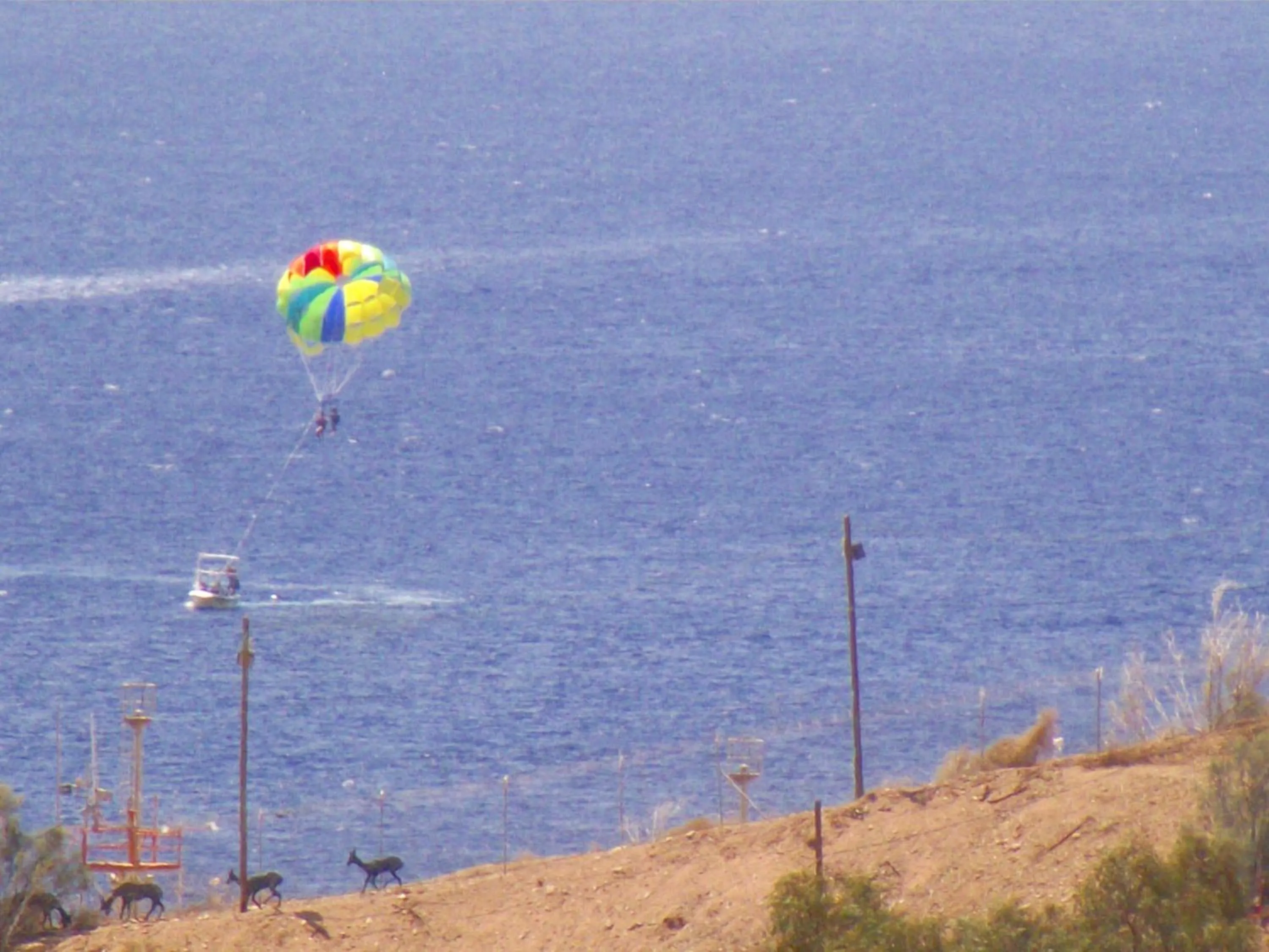 Bird's eye view in City Apartments