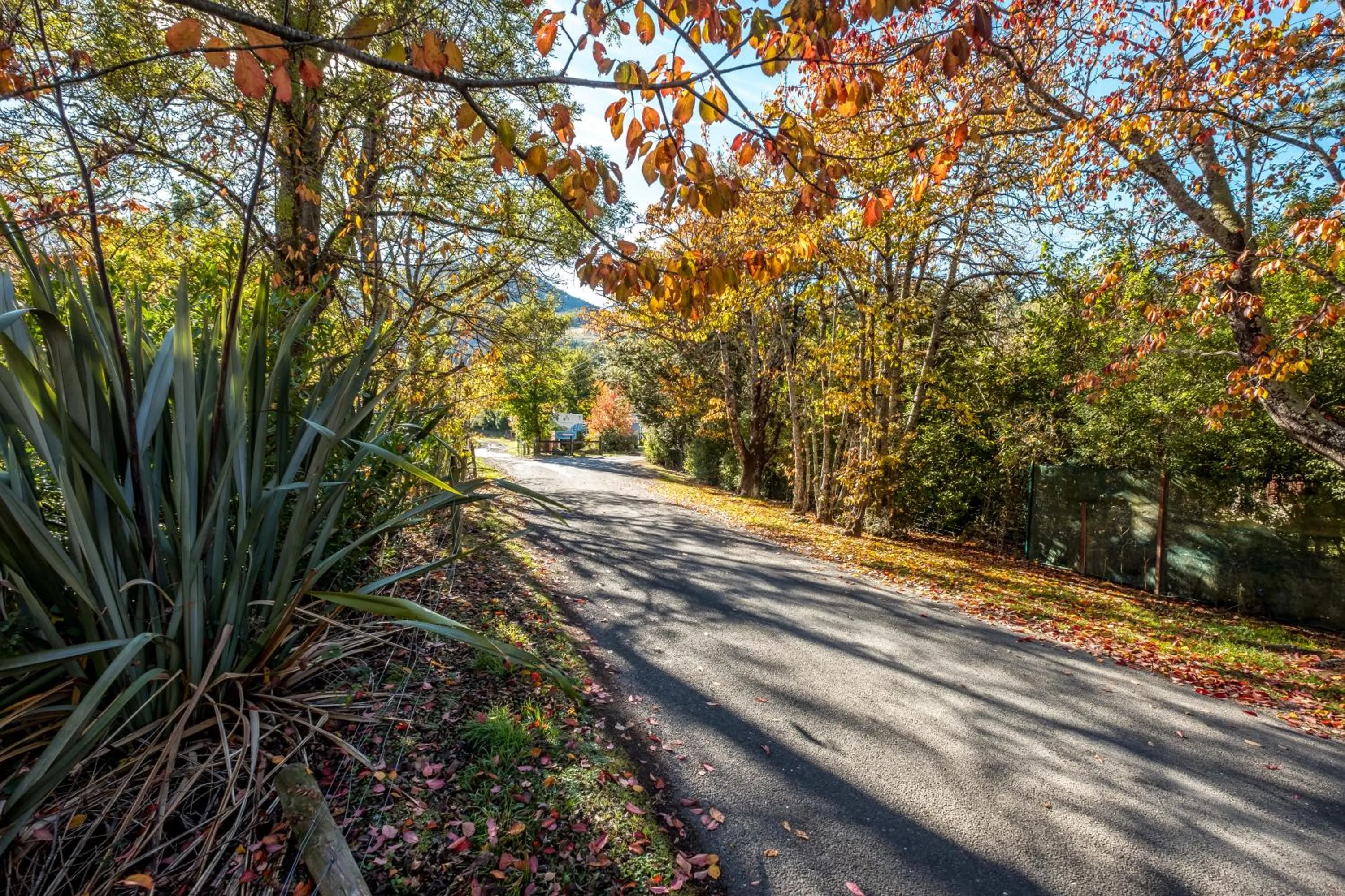 Facade/entrance in Alpine Adventure Holiday Park