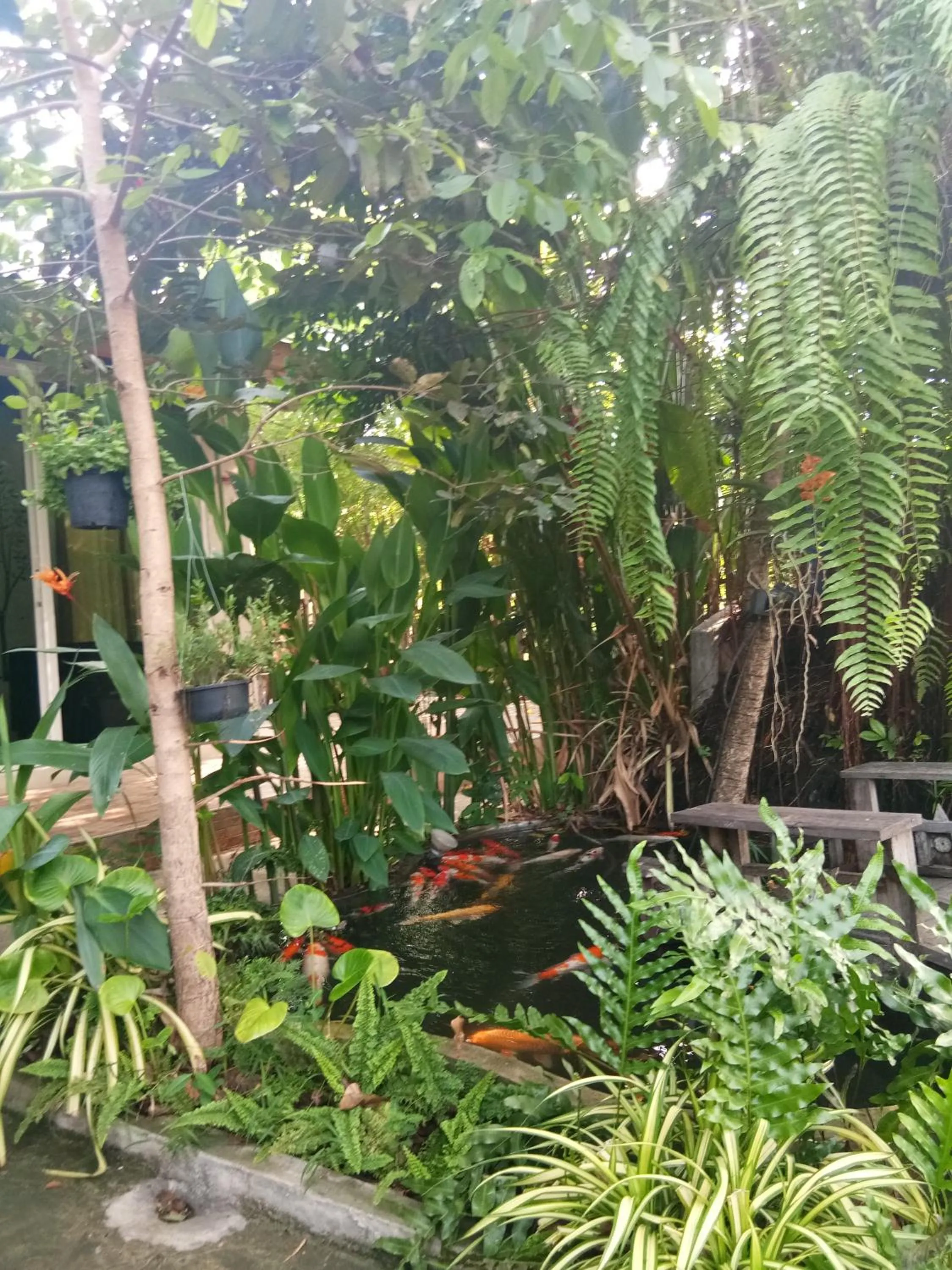 Garden in Q Zone Boutique House