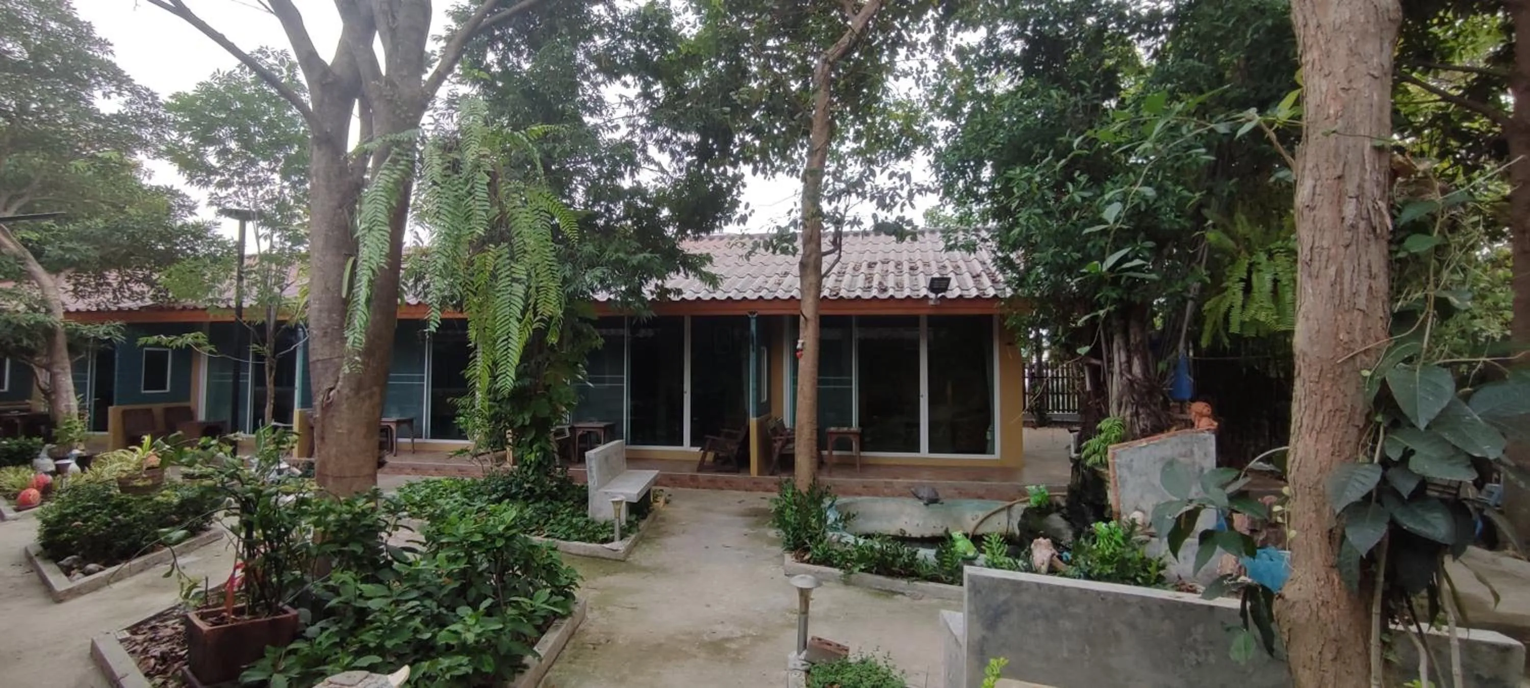 Garden view in Q Zone Boutique House