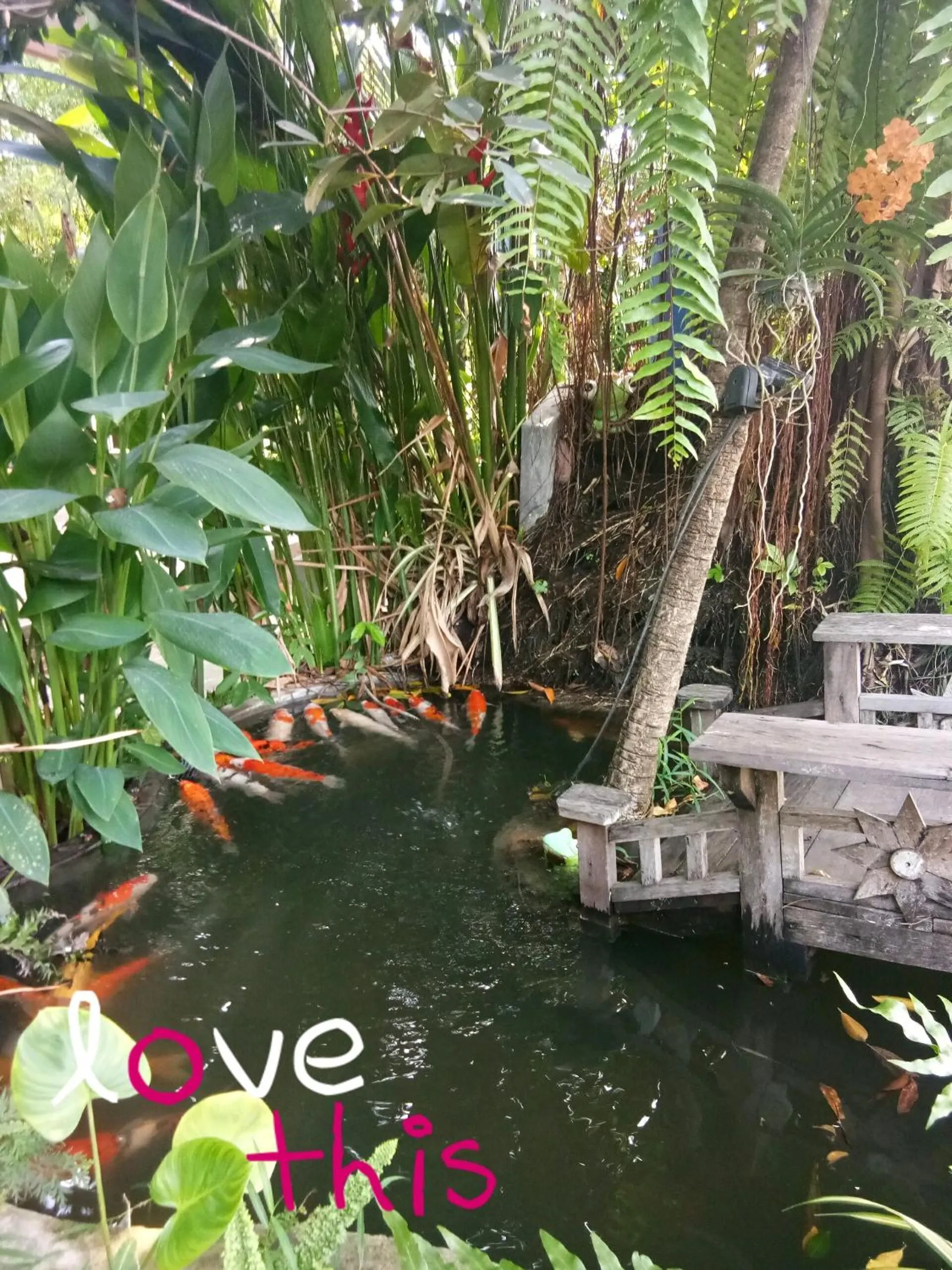 Garden in Q Zone Boutique House